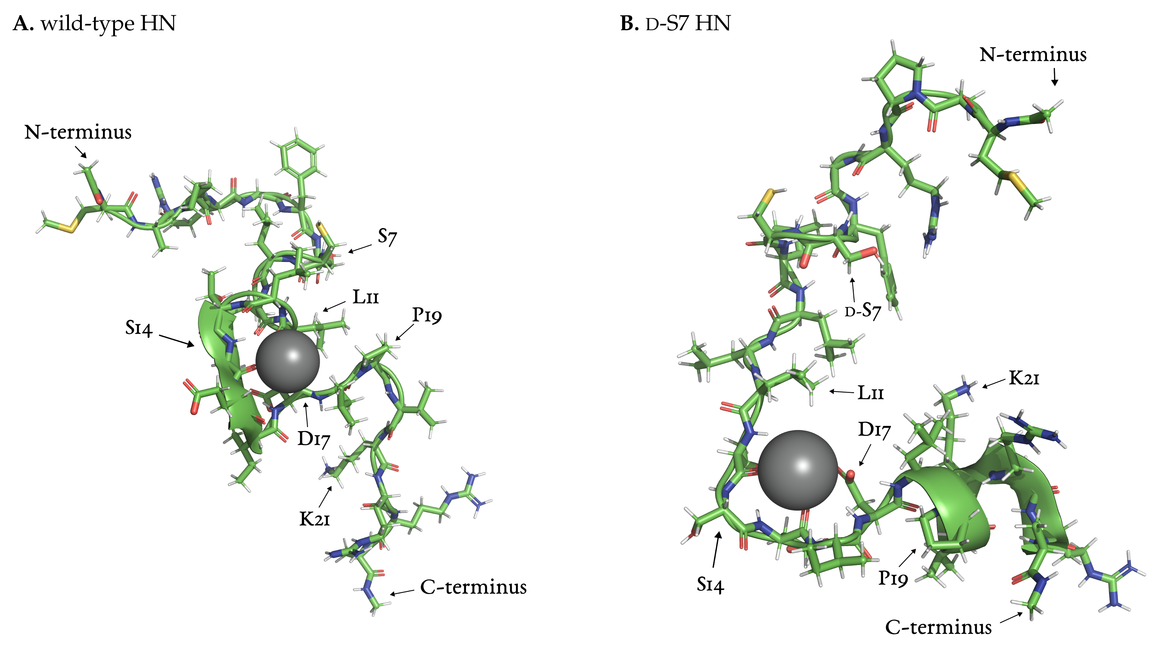Biology 12 00581 g008