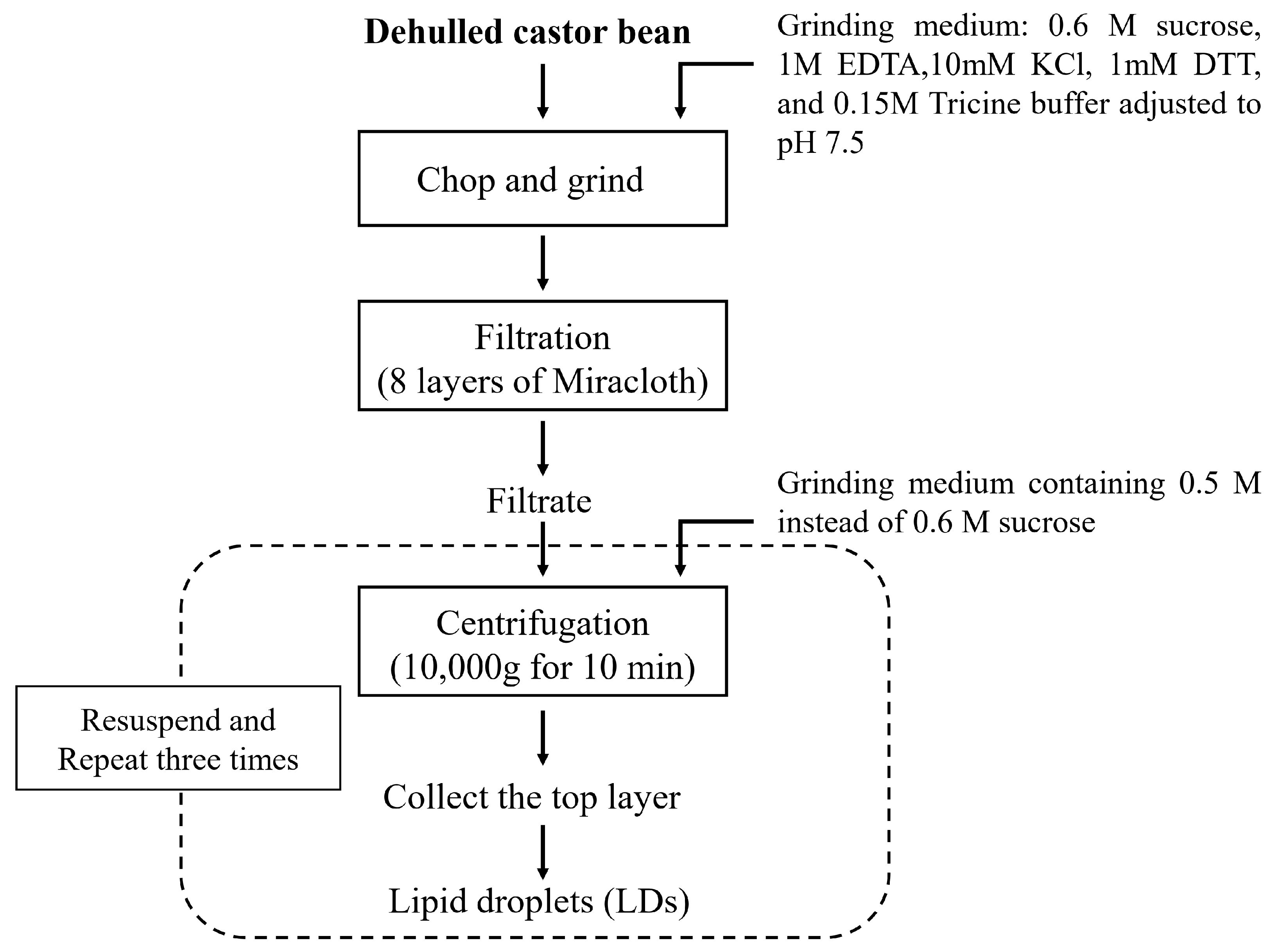 Biology 12 00594 g003