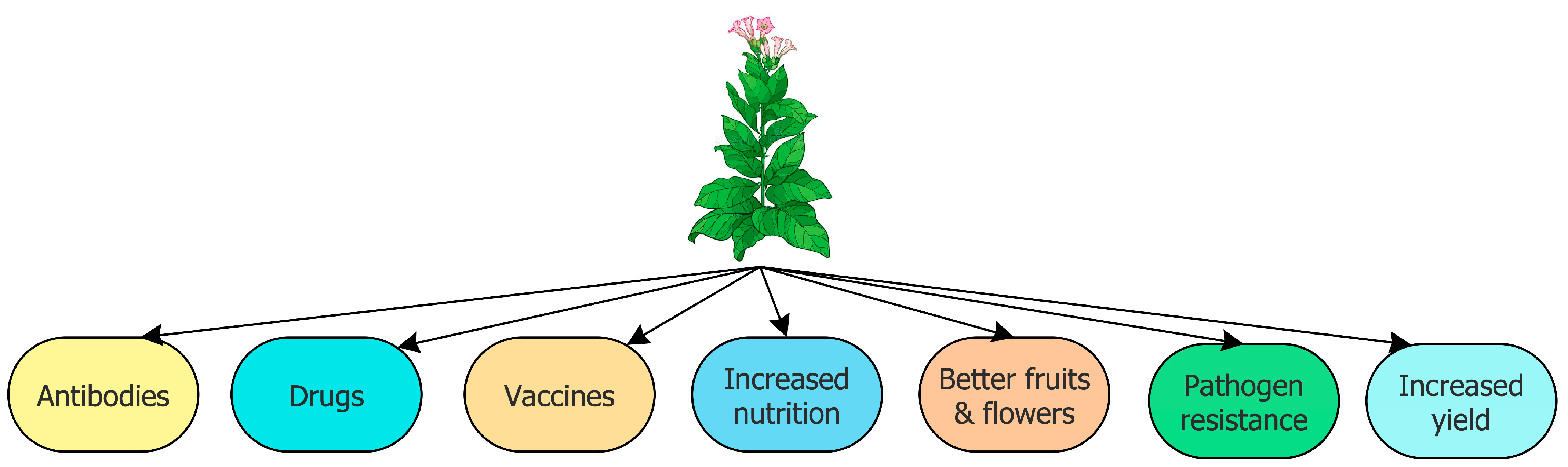 Biology 12 00601 g001
