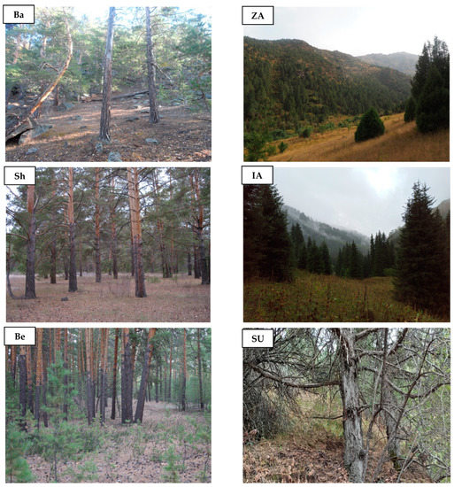 Biology 12 00604 g0a1