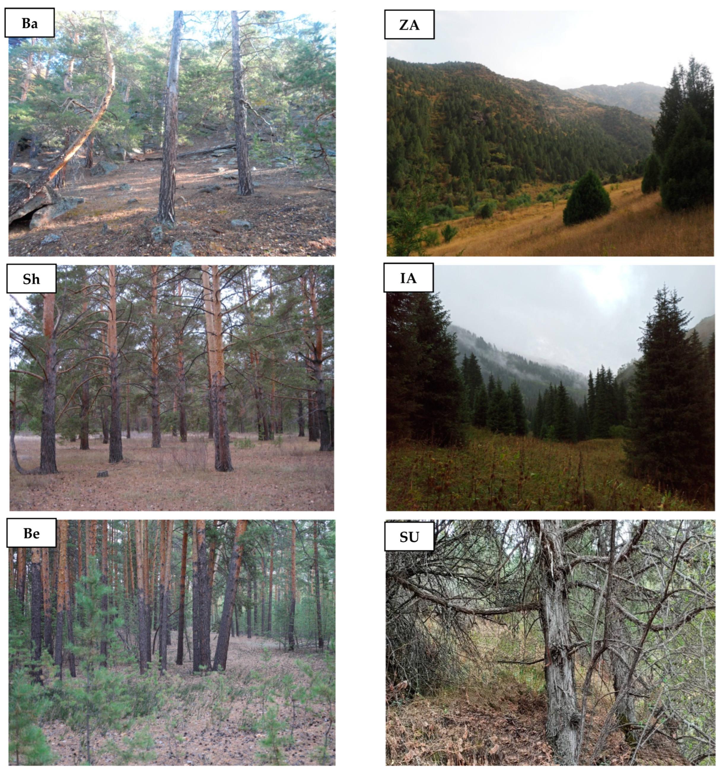Biology 12 00604 g0a1