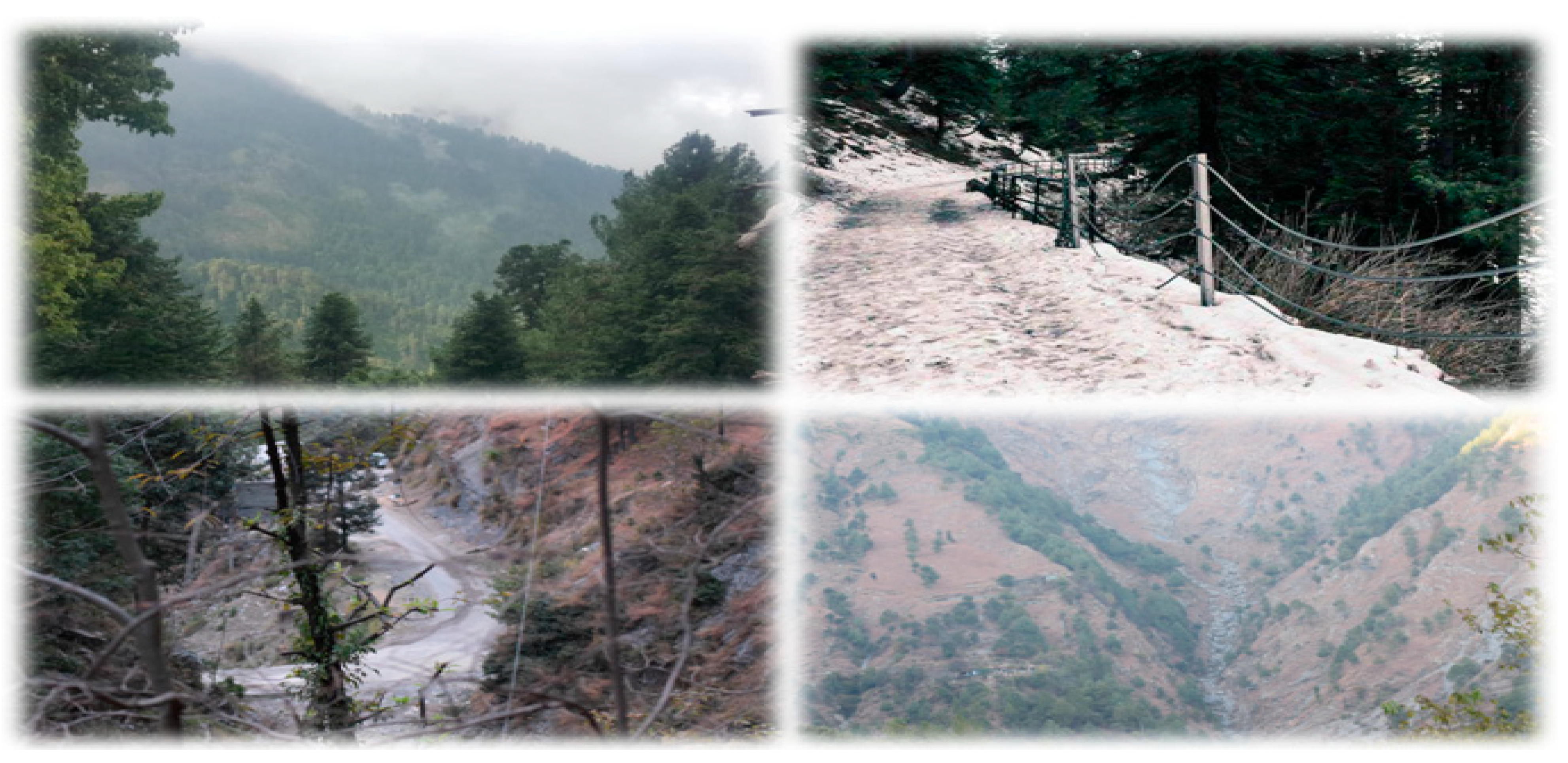 Biology 12 00609 g002