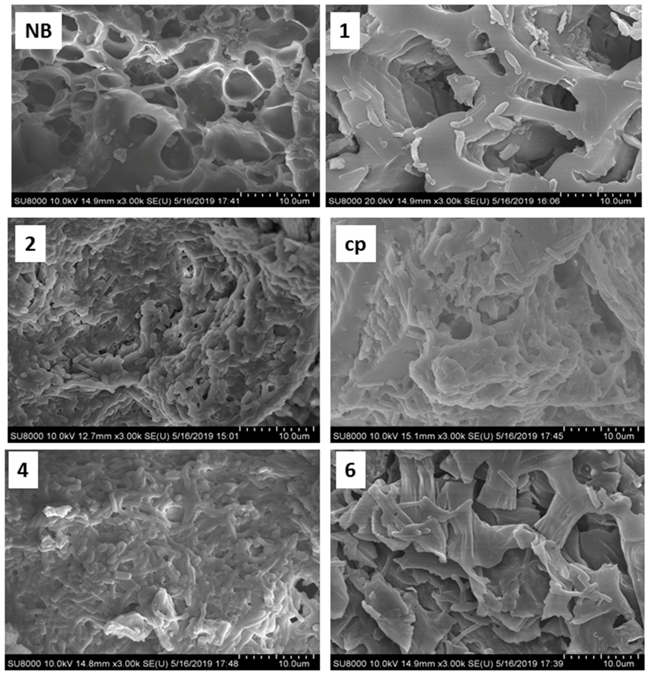 Biology 12 00611 g003 Biology 12 00611 g003