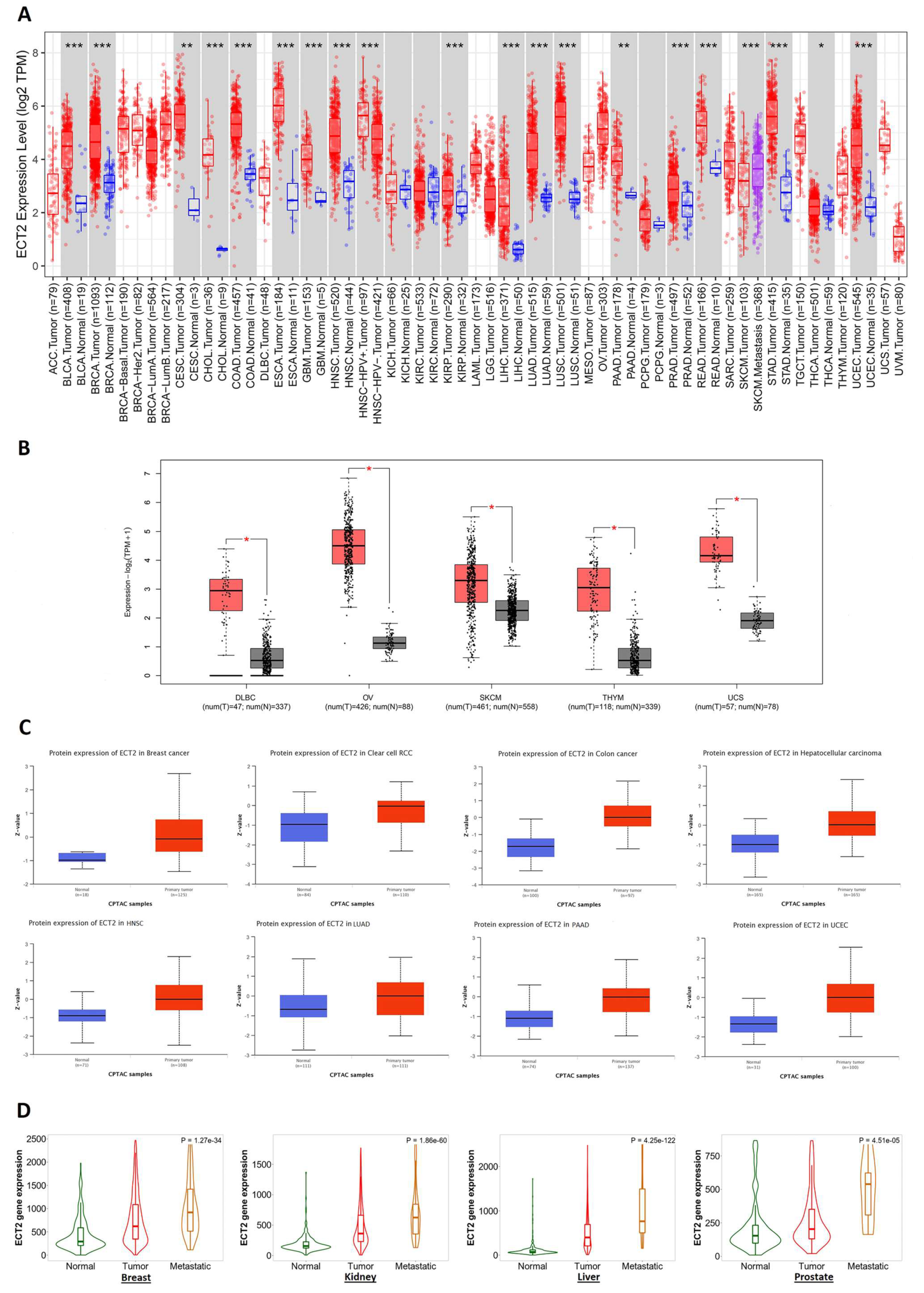 Biology 12 00613 g001