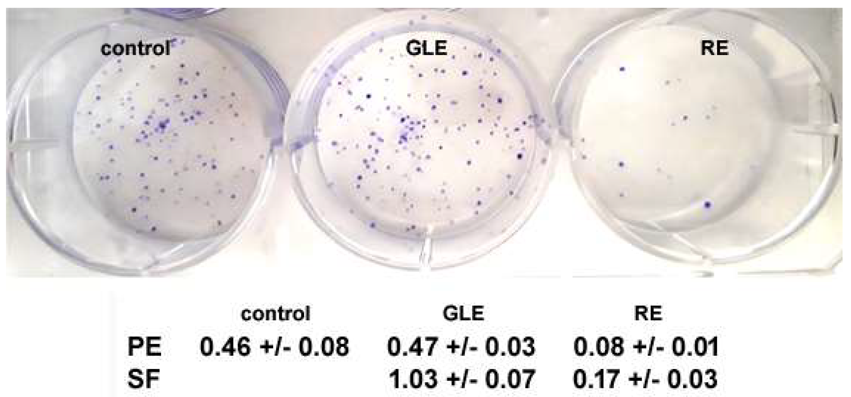 Biology 12 00616 g001
