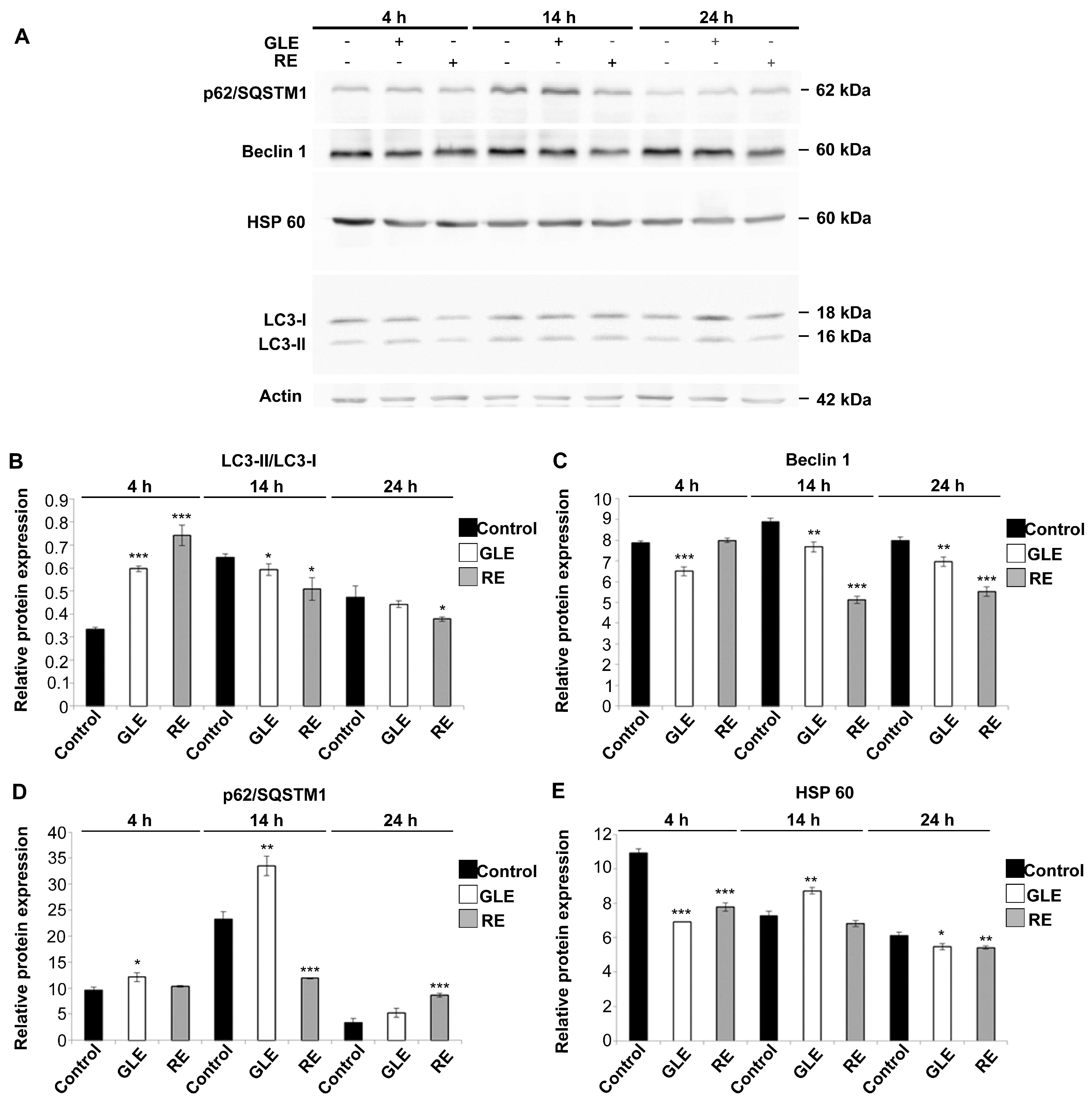 Biology 12 00616 g009