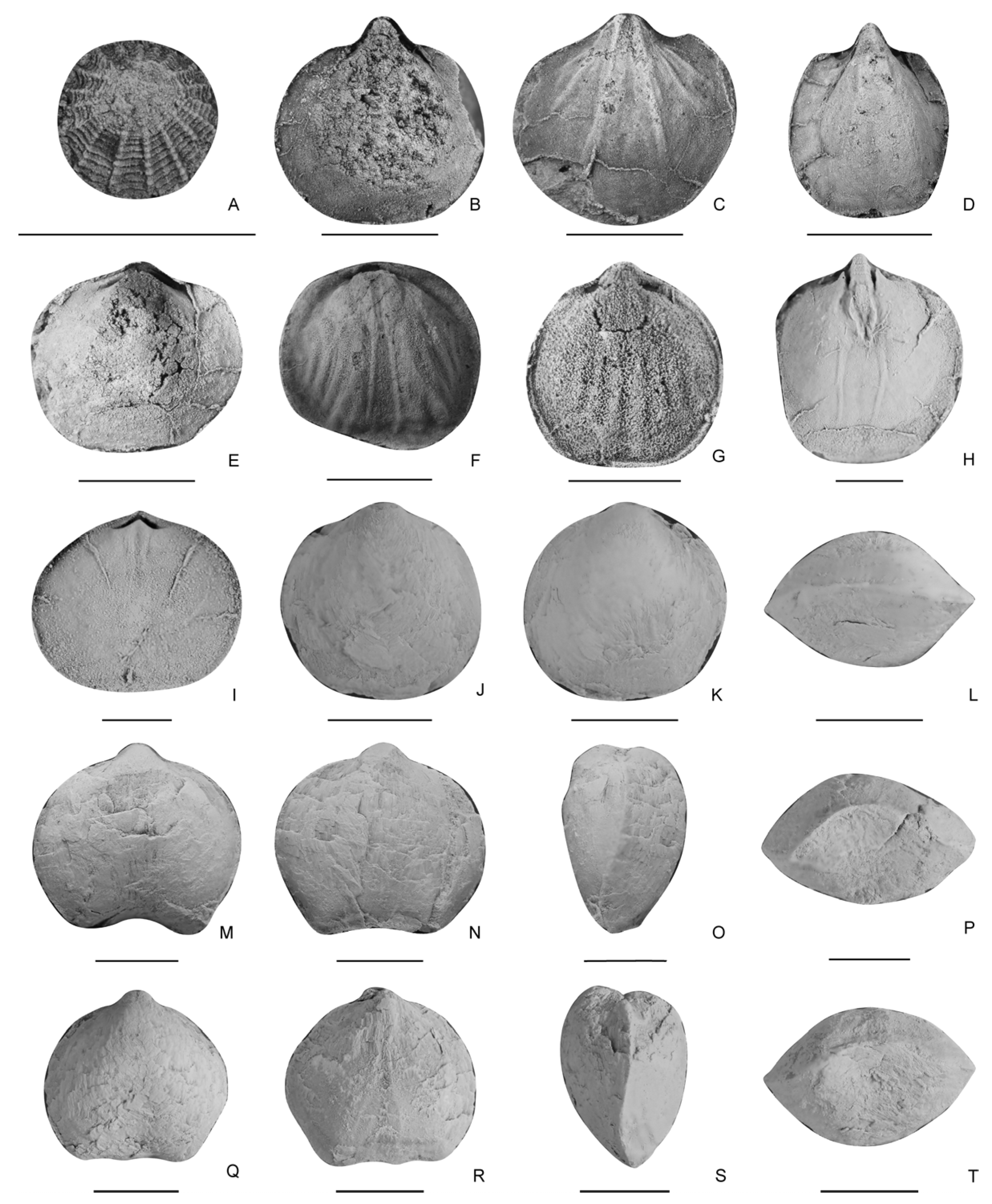 Biology 12 00622 g004 Biology 12 00622 g004