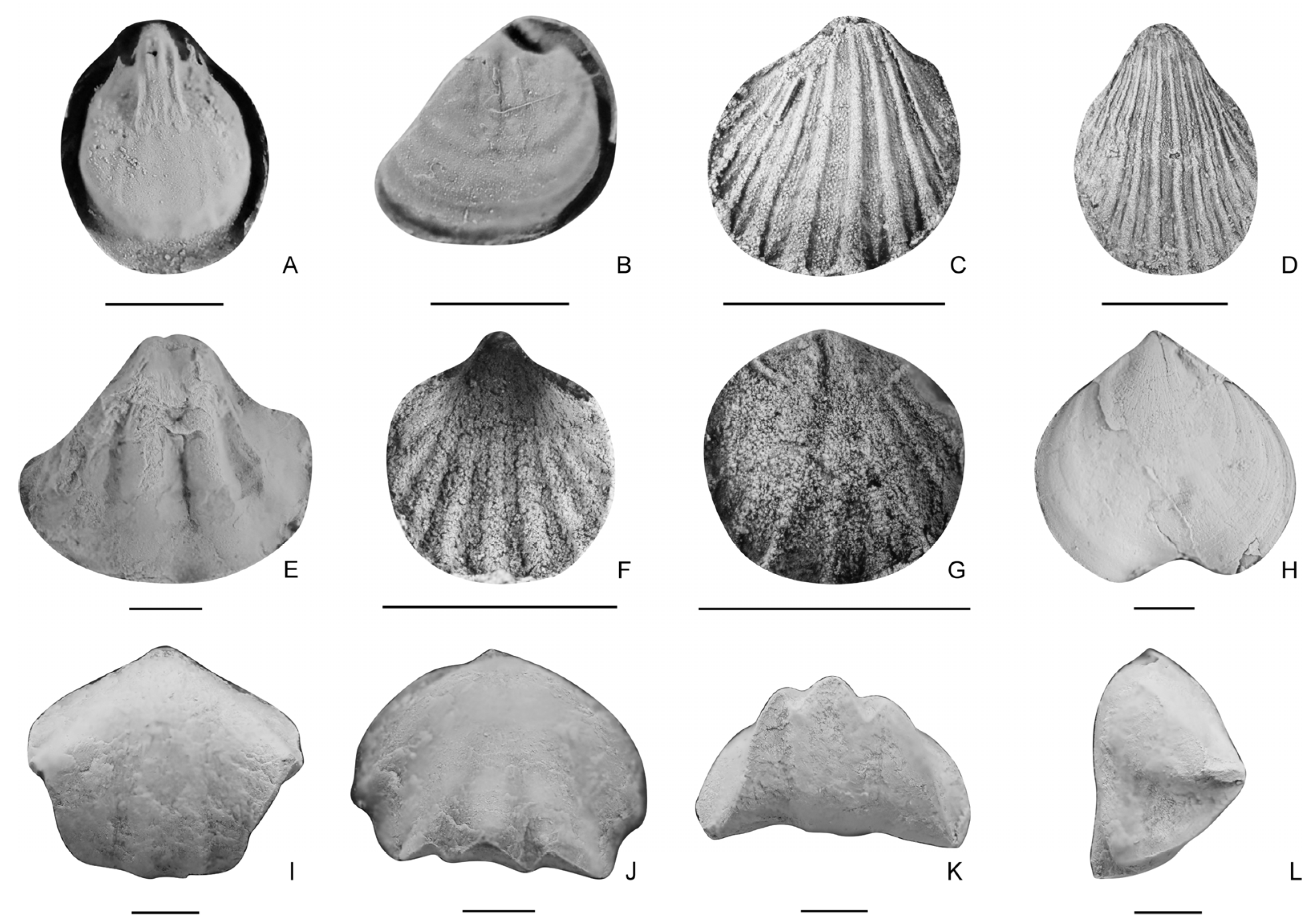 Biology 12 00622 g005 Biology 12 00622 g005