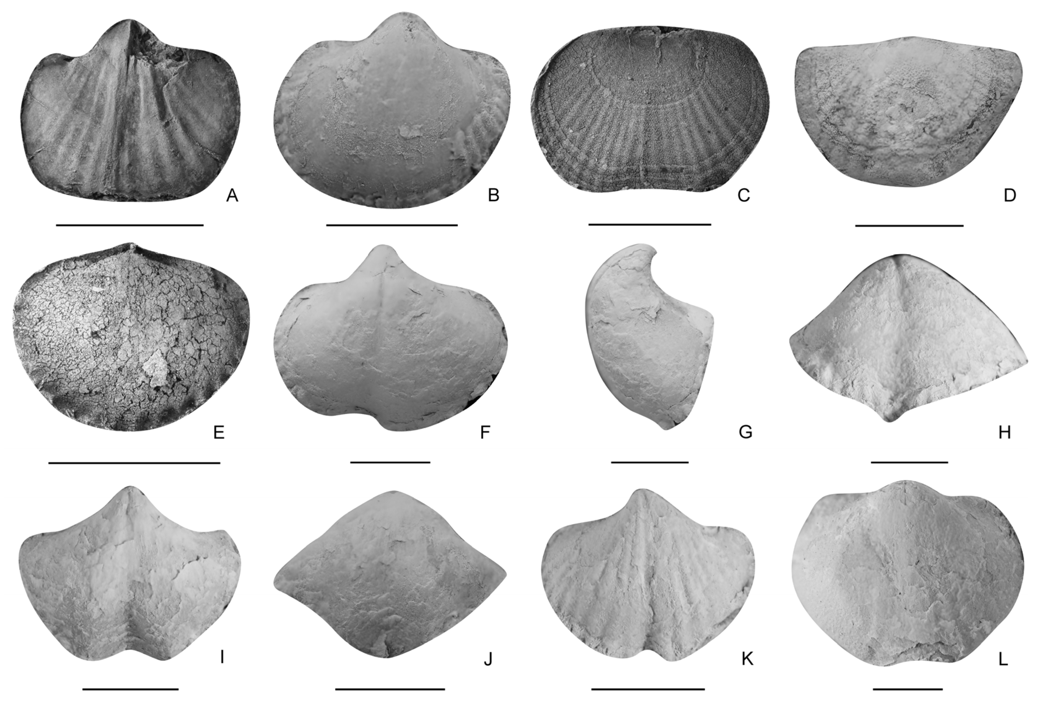 Biology 12 00622 g006 Biology 12 00622 g006