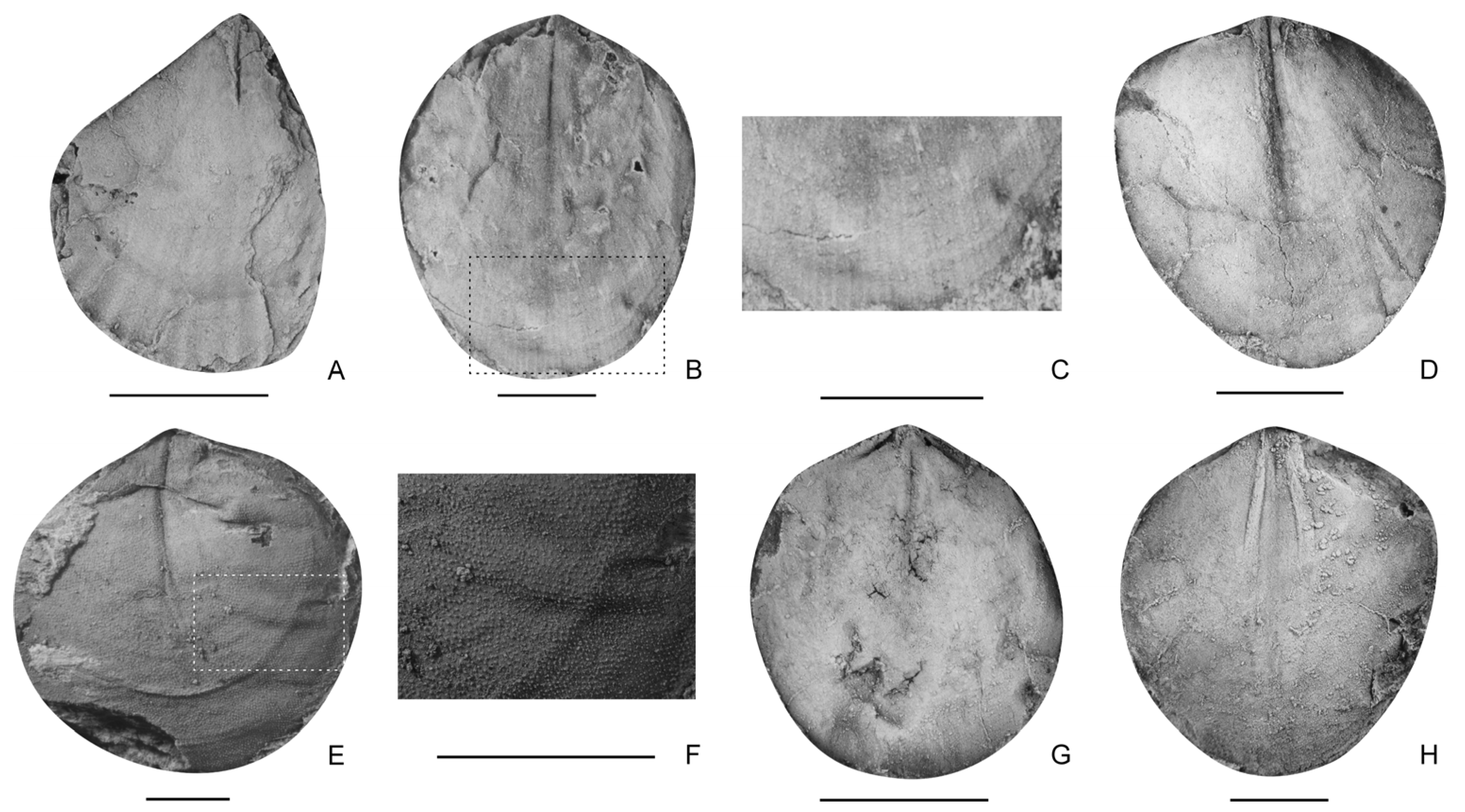 Biology 12 00622 g007 Biology 12 00622 g007