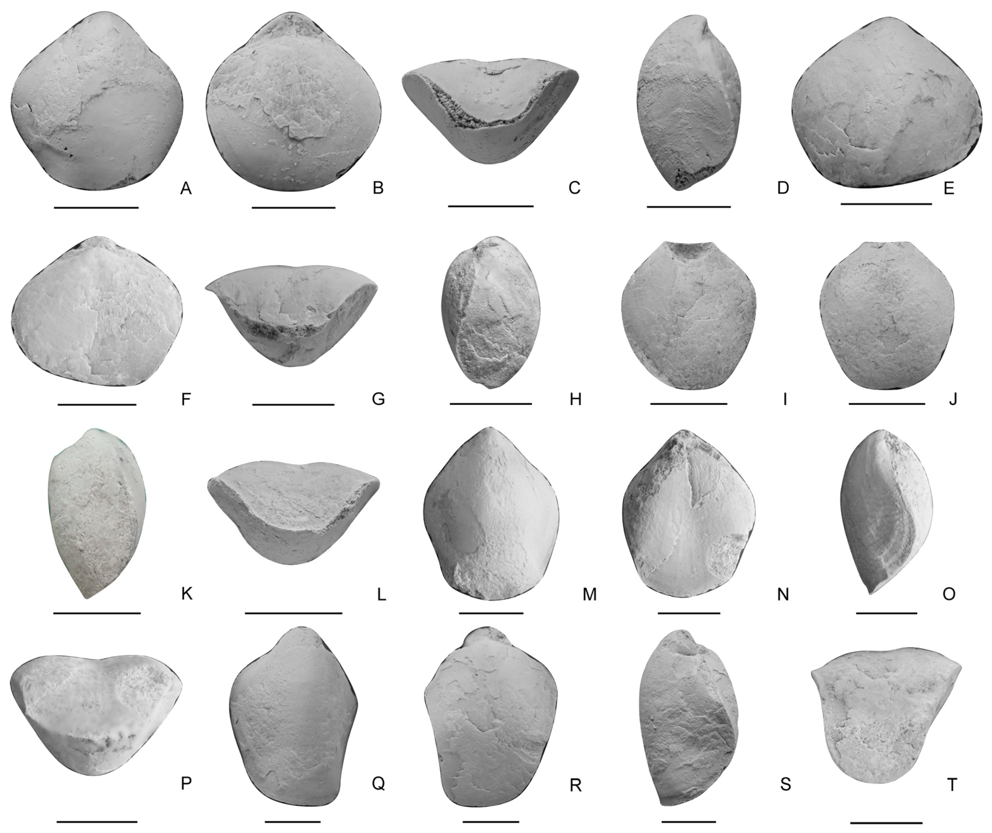 Biology 12 00622 g008 Biology 12 00622 g008