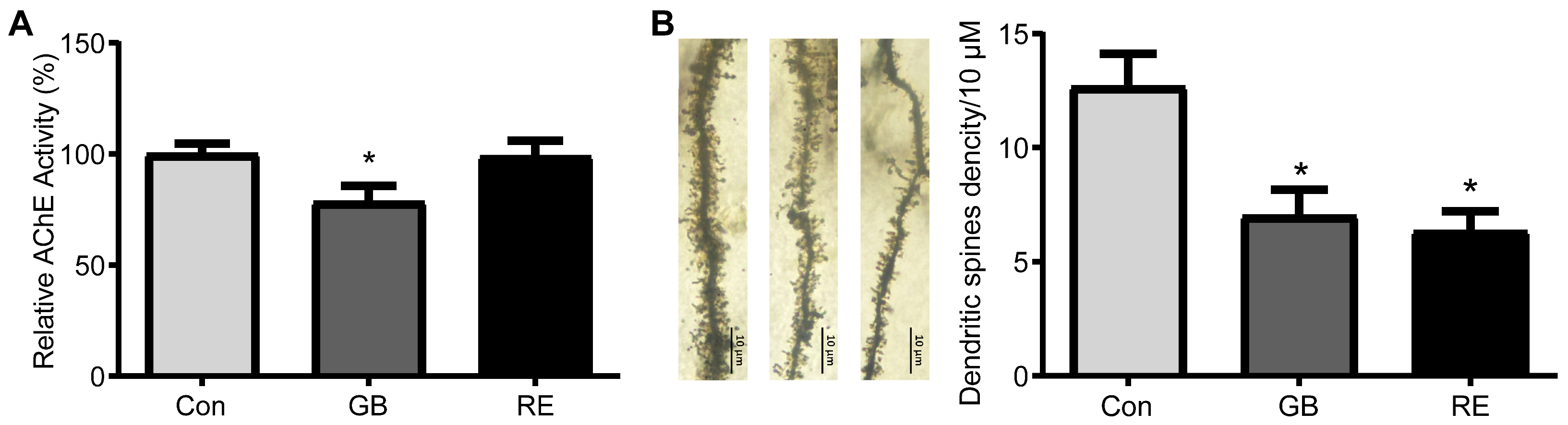 Biology 12 00627 g003 Biology 12 00627 g003