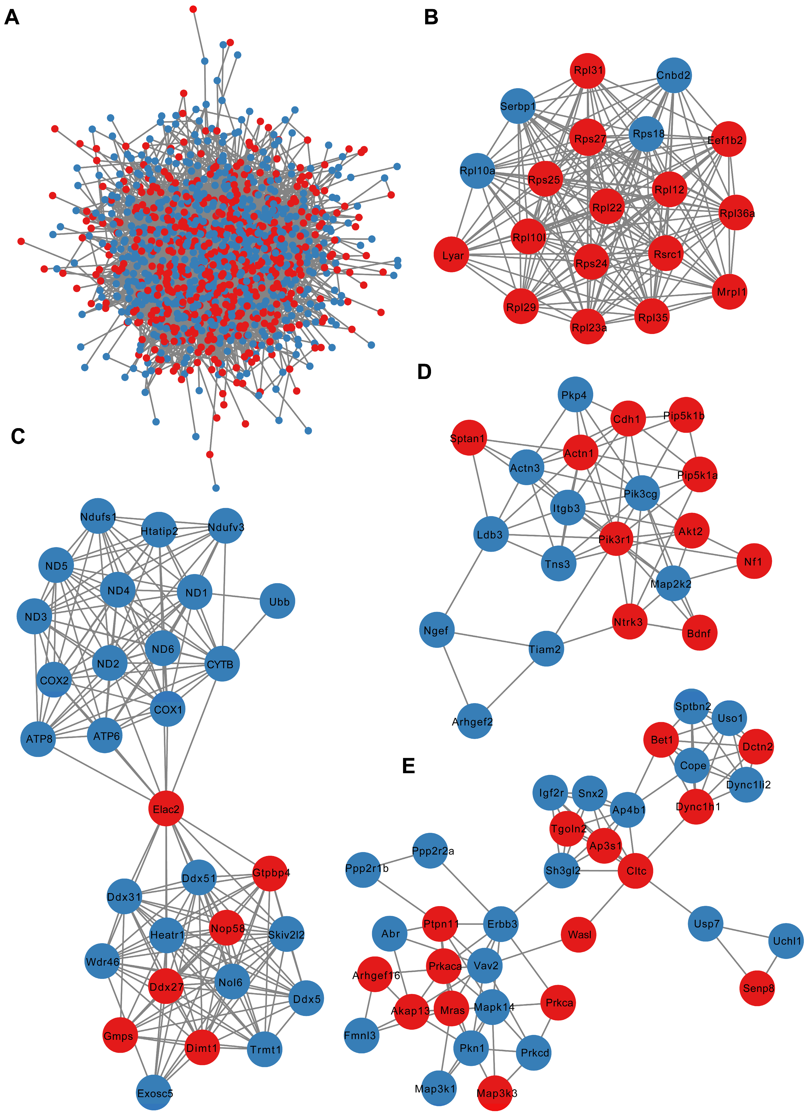 Biology 12 00627 g008 Biology 12 00627 g008