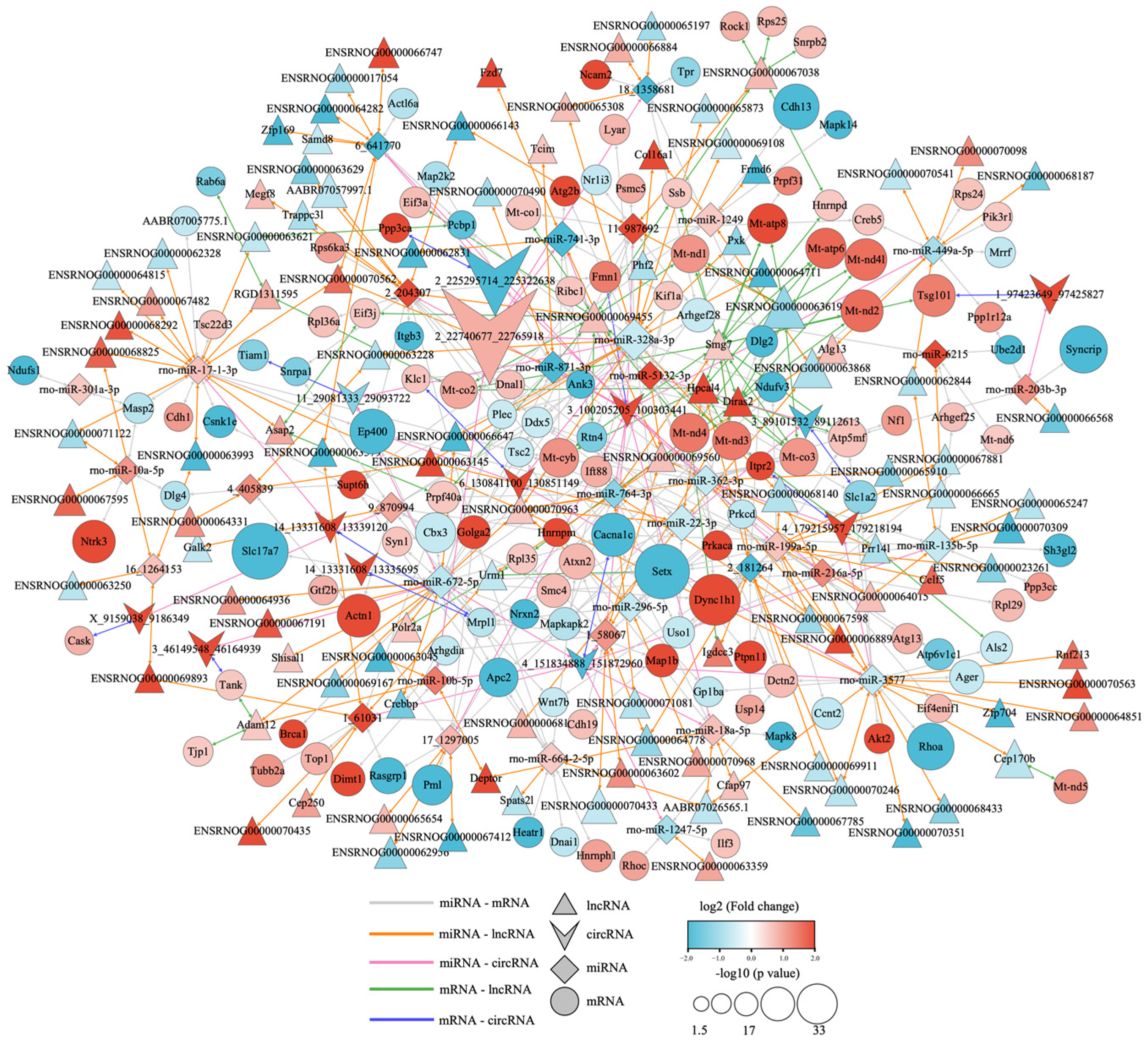 Biology 12 00627 g009 Biology 12 00627 g009