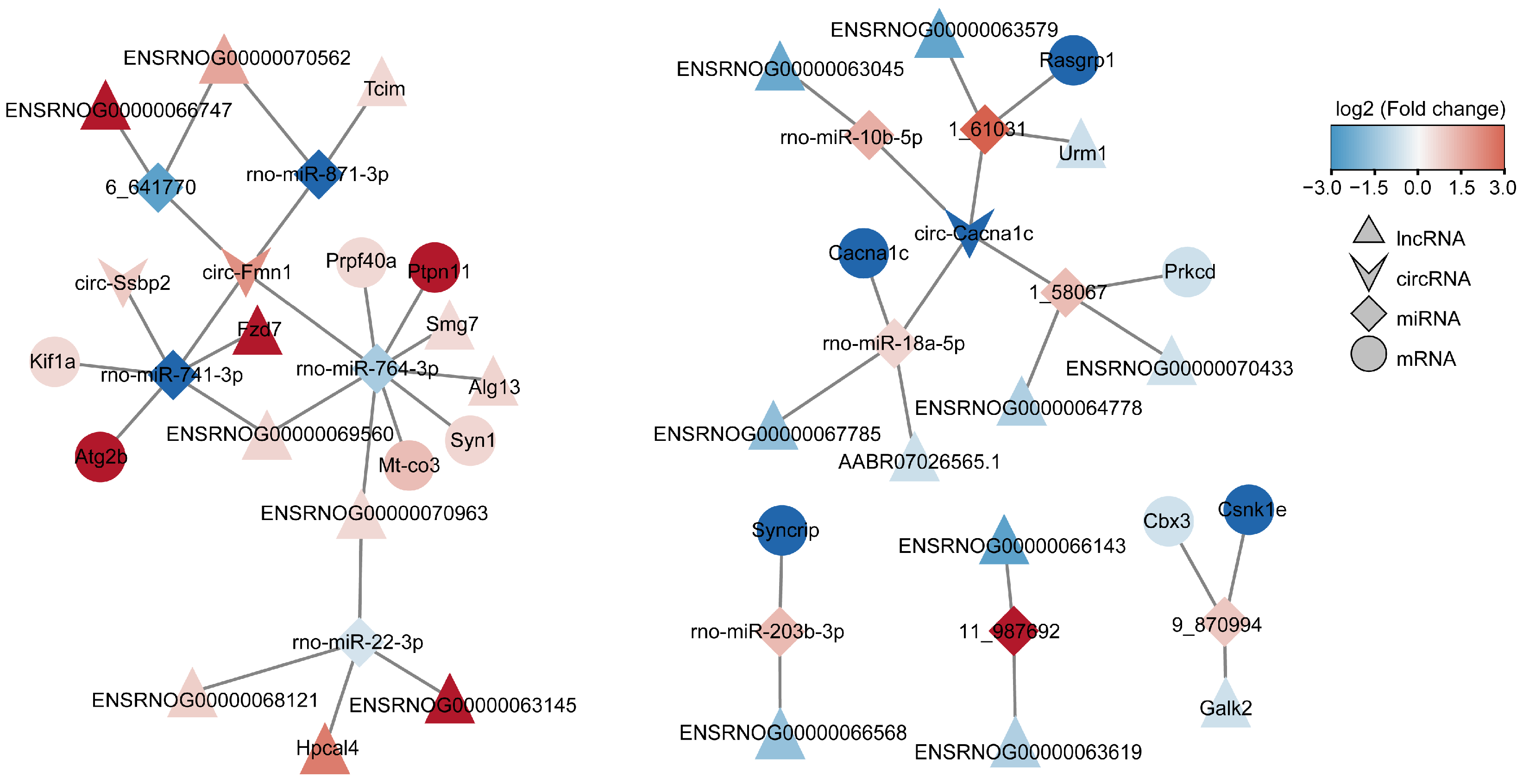 Biology 12 00627 g010 Biology 12 00627 g010