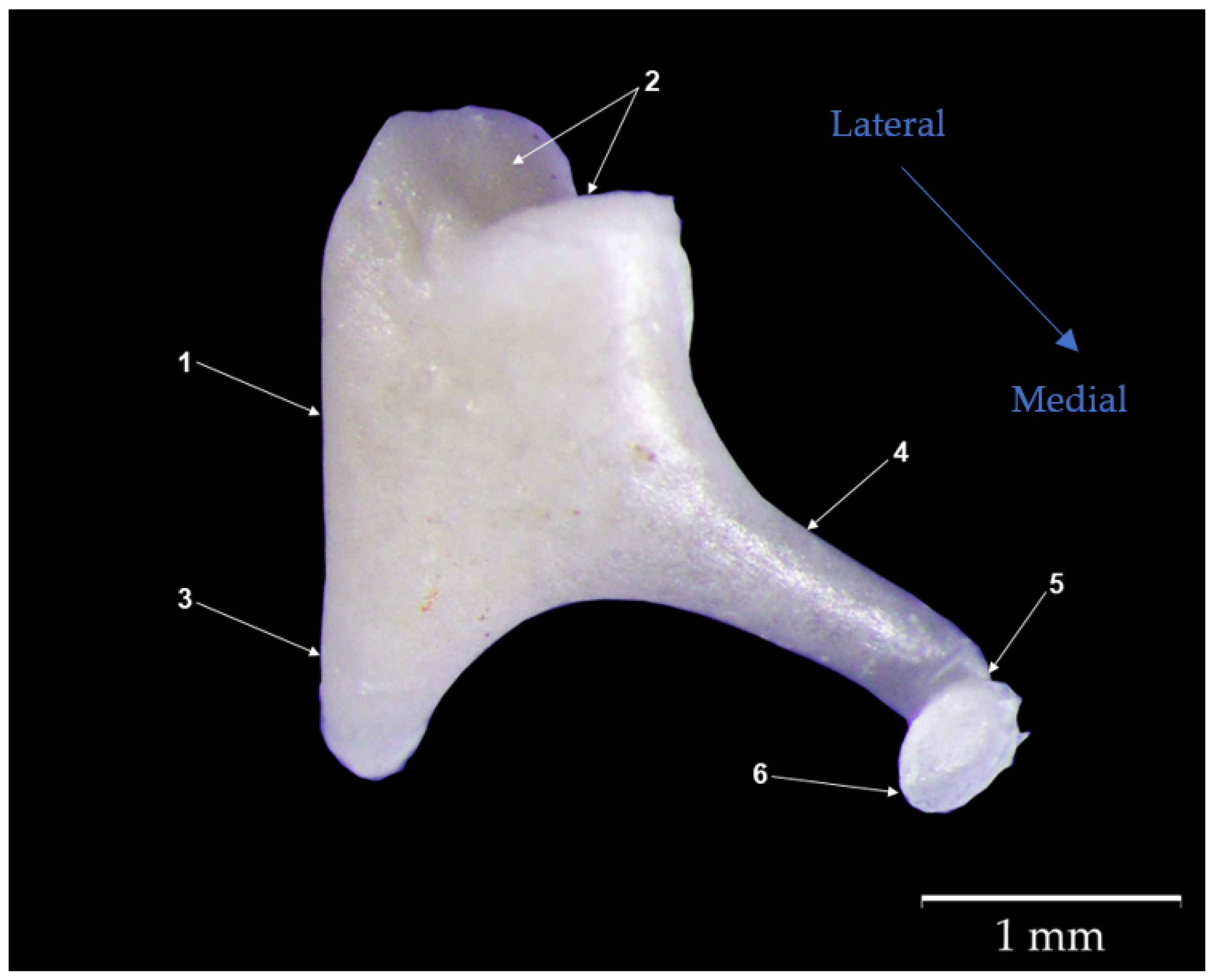 Biology 12 00631 g003