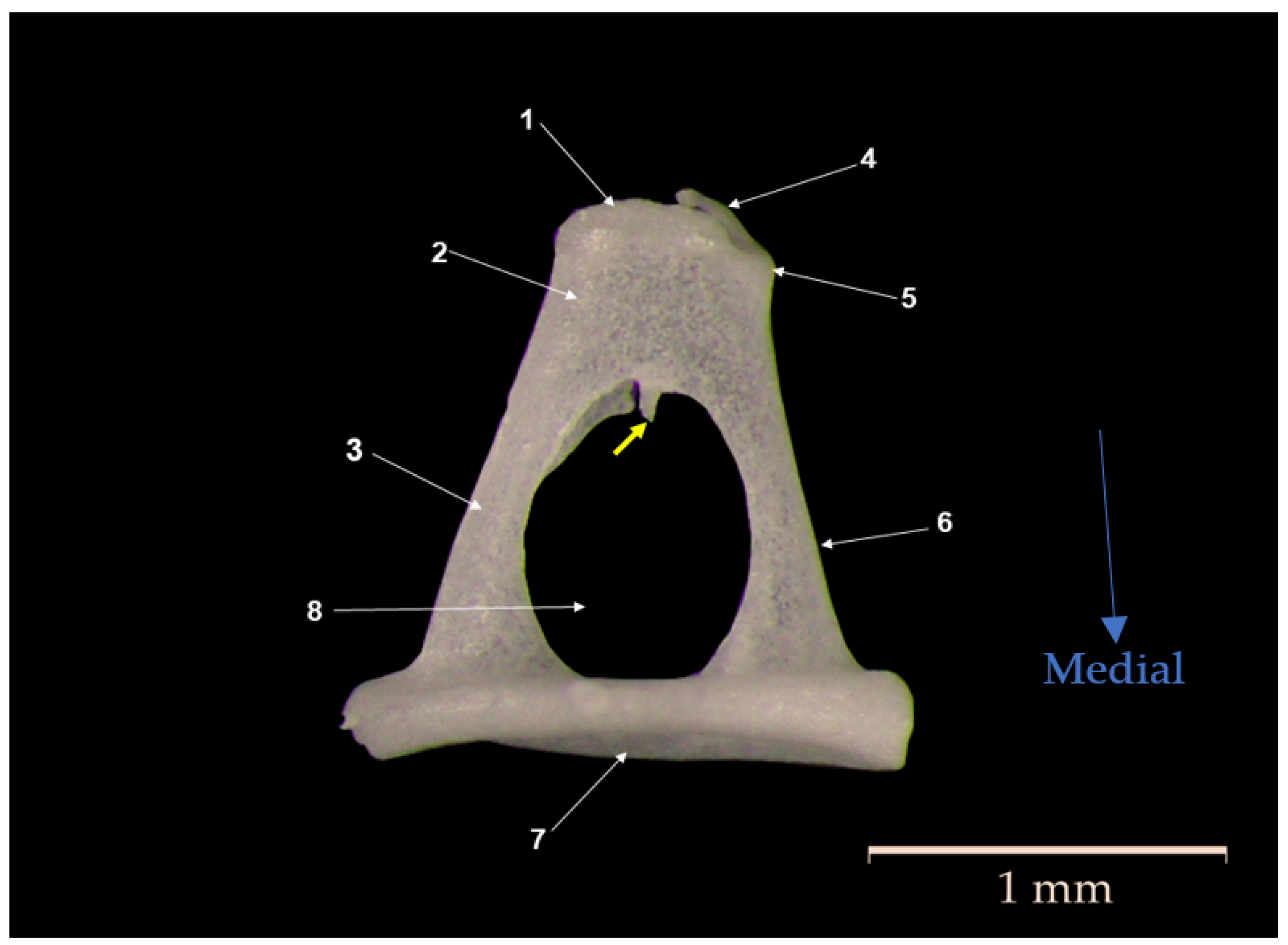 Biology 12 00631 g005
