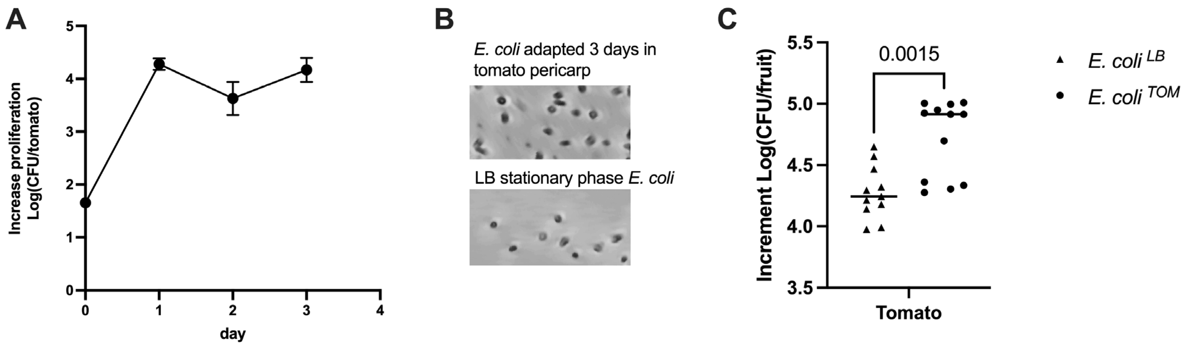 Biology 12 00633 g001 Biology 12 00633 g001