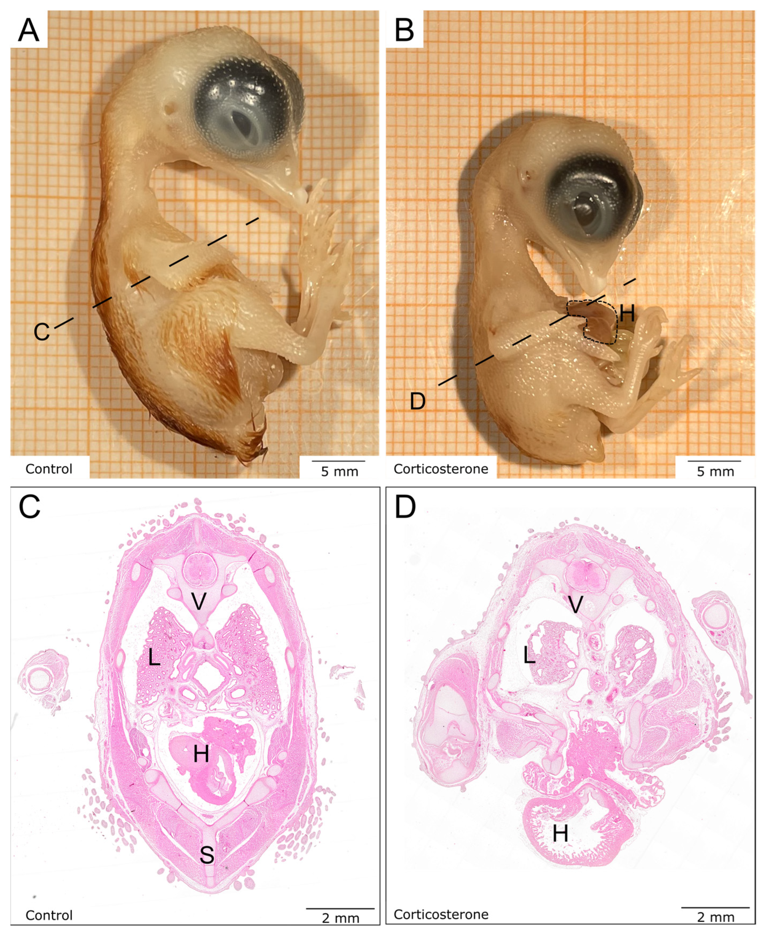 Biology 12 00656 g001