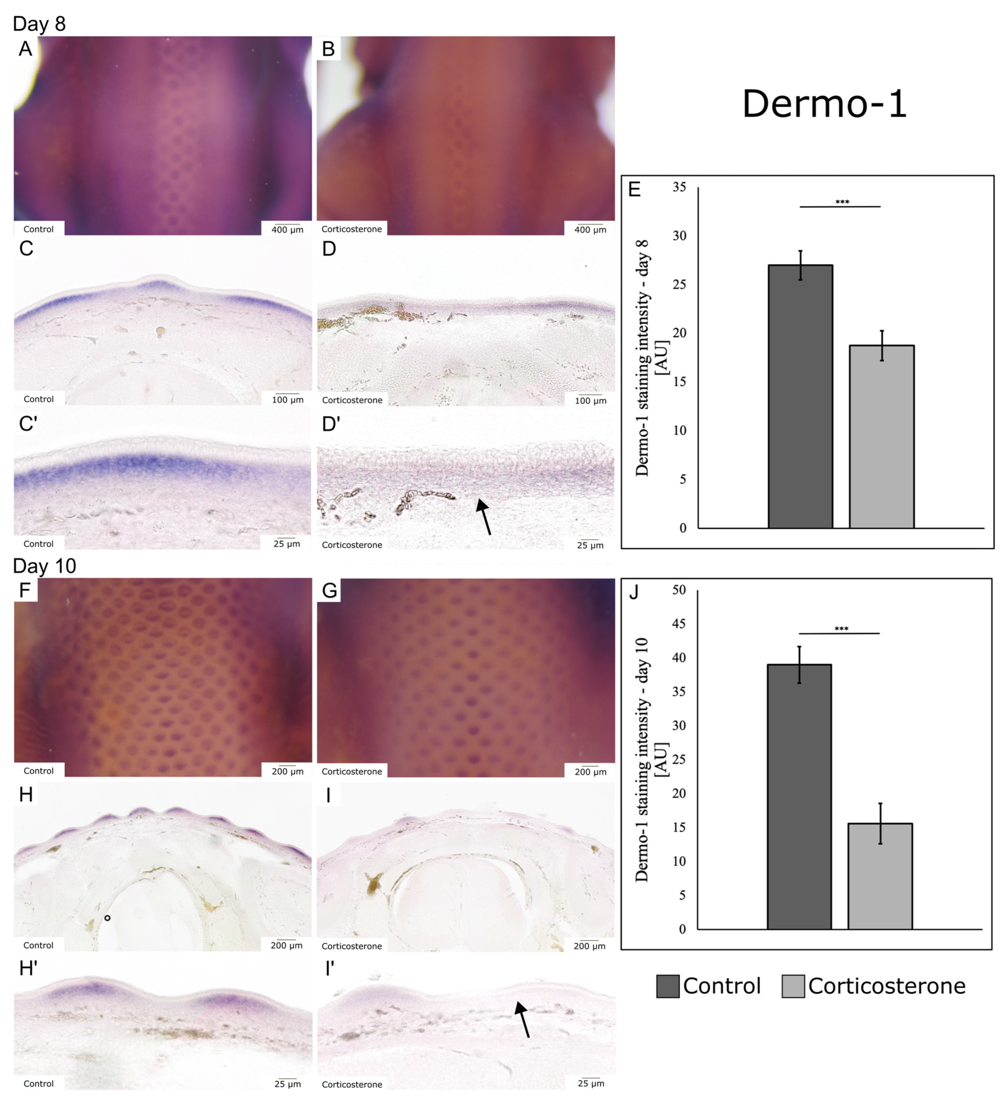 Biology 12 00656 g002