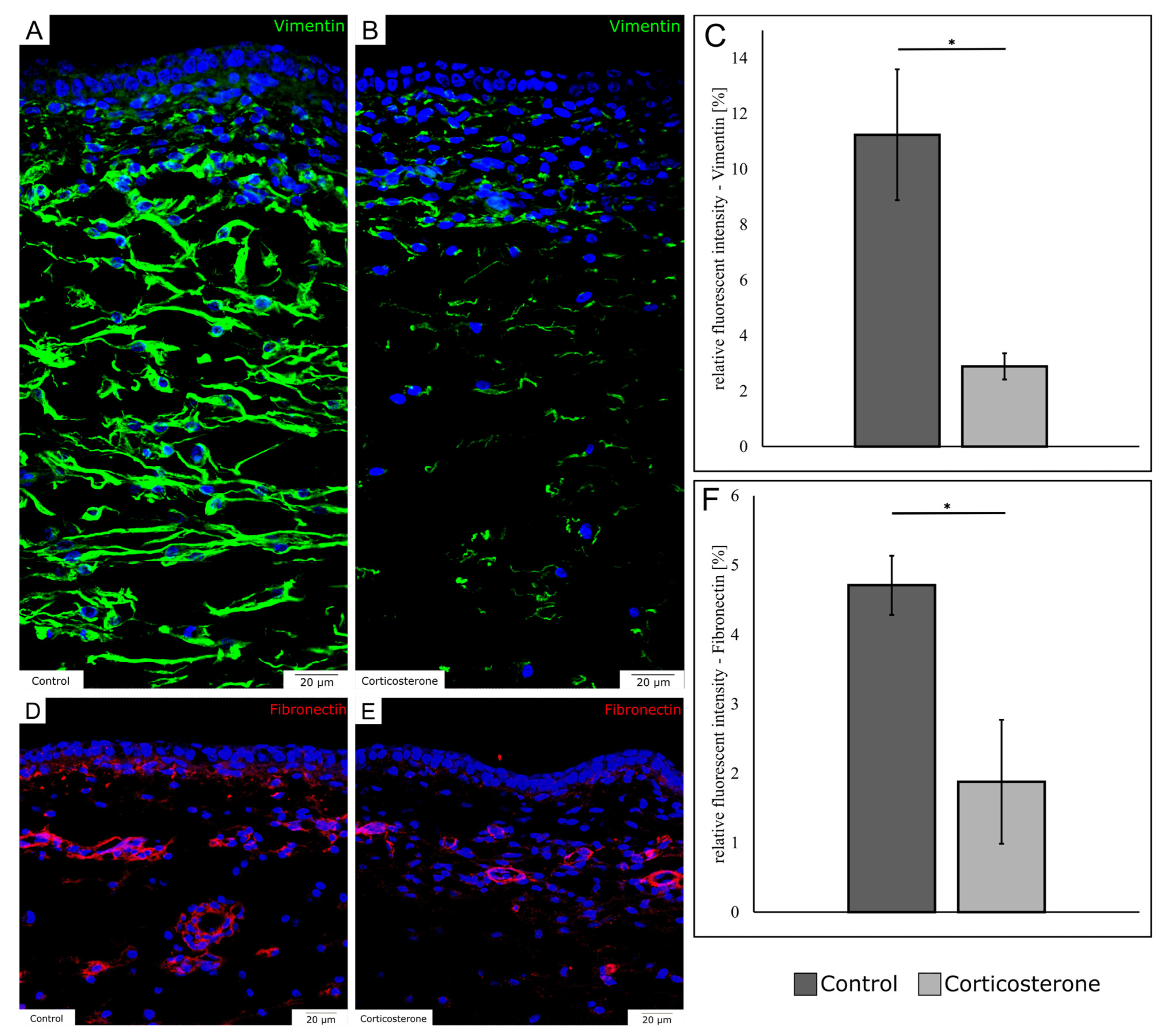 Biology 12 00656 g004