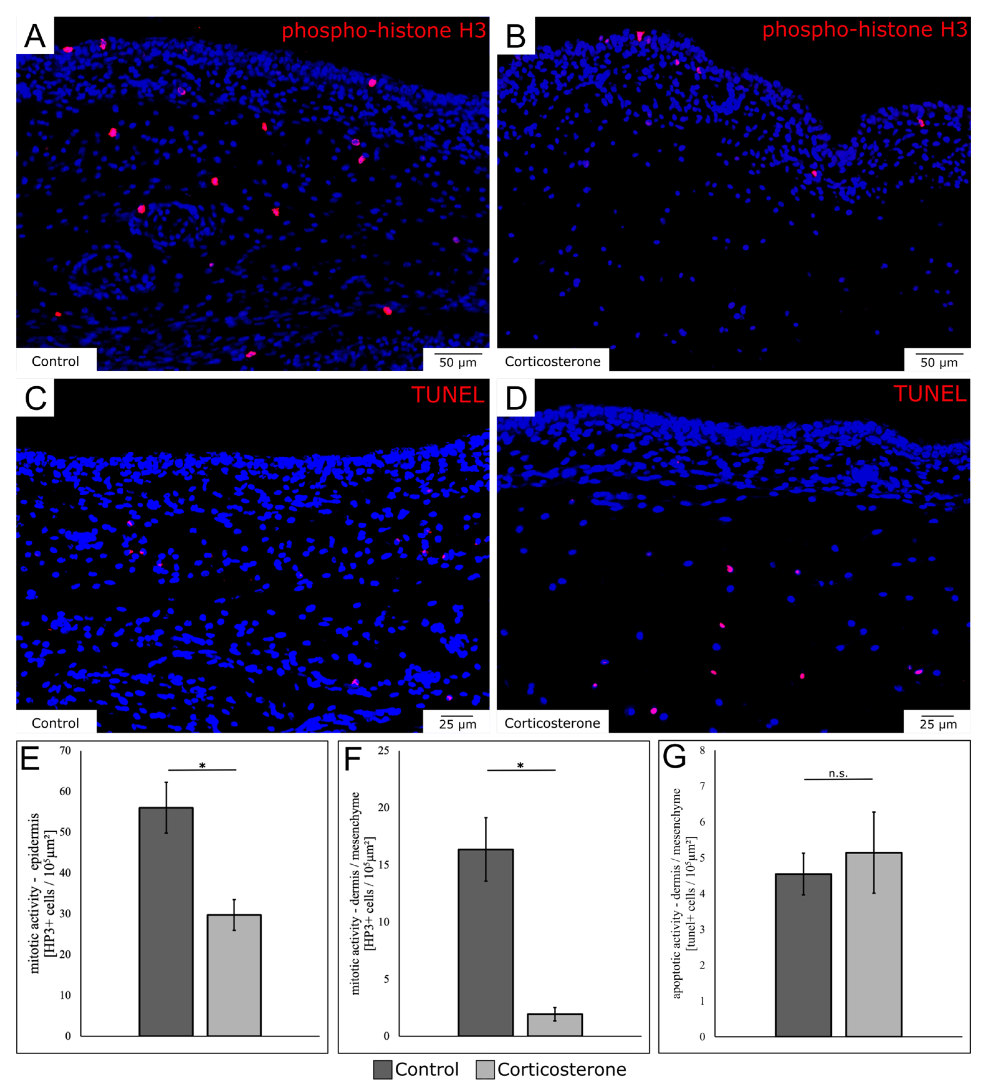 Biology 12 00656 g005