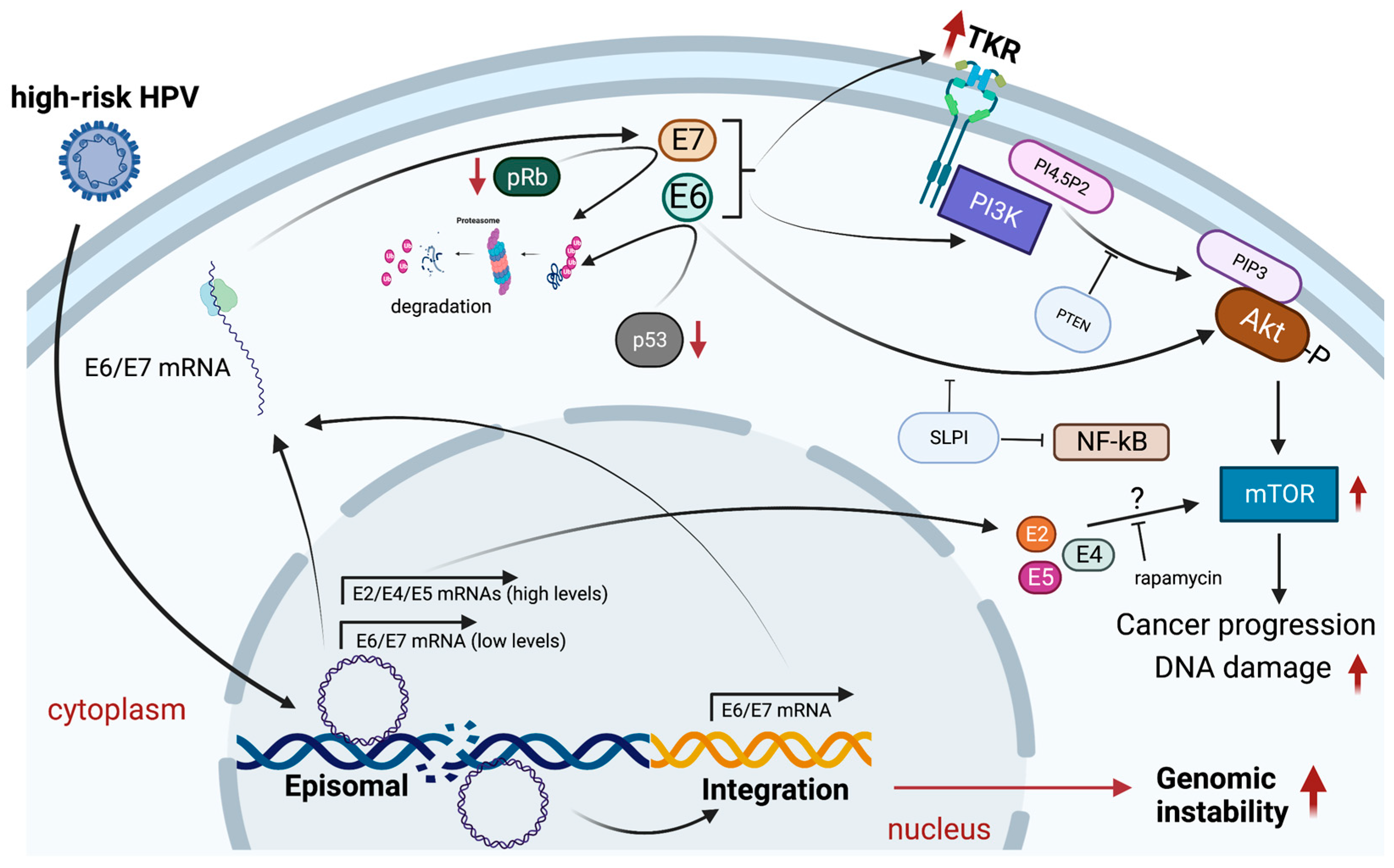Biology 12 00672 g002
