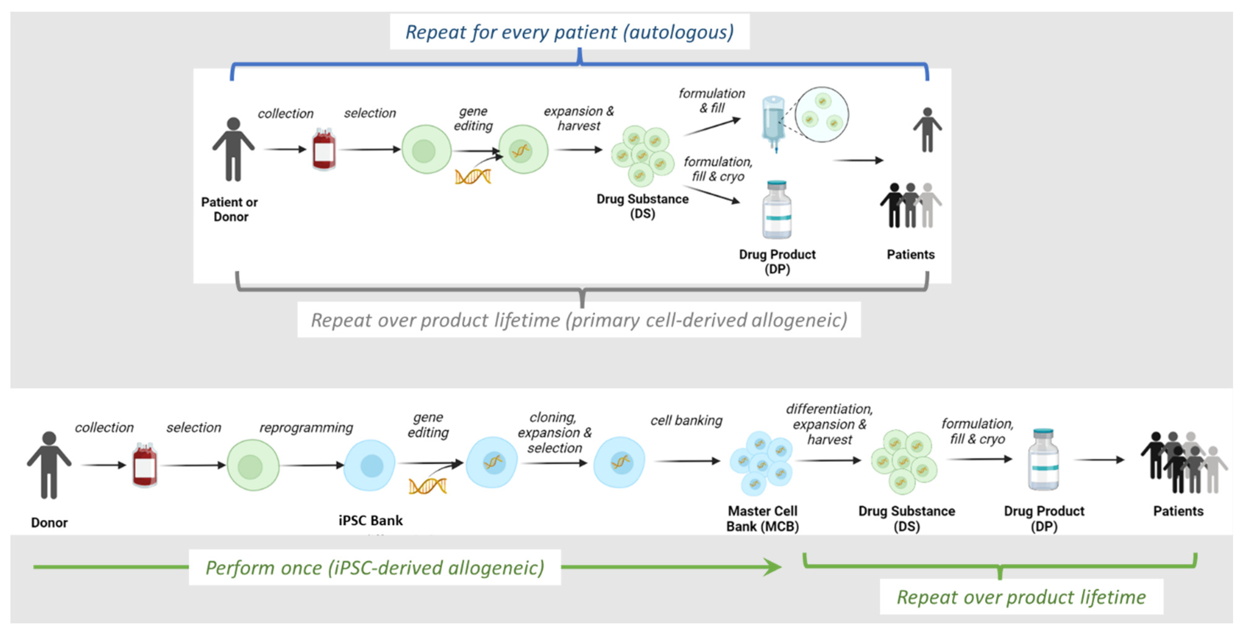 Biology 12 00677 g001 Biology 12 00677 g001