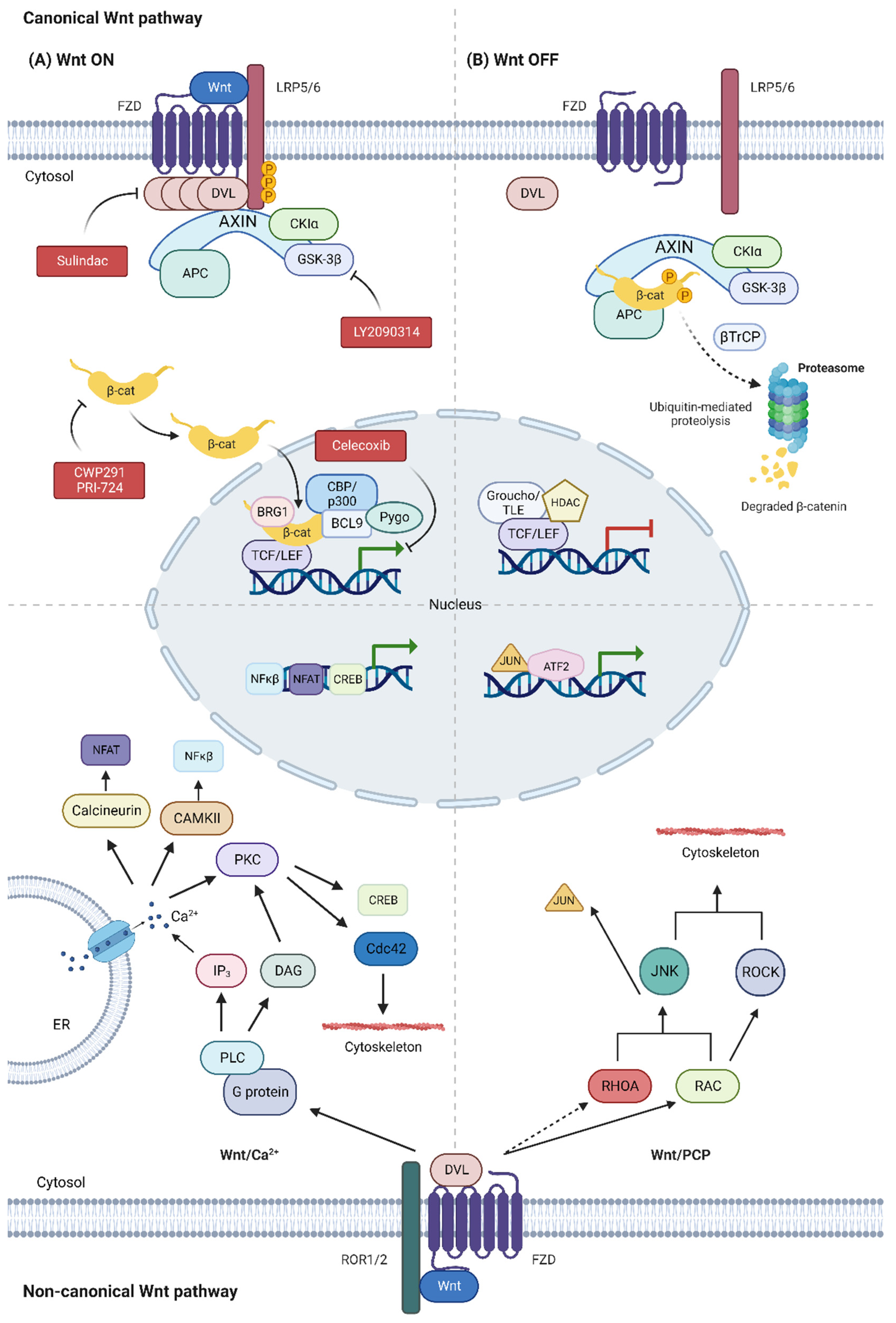 Biology 12 00683 g001