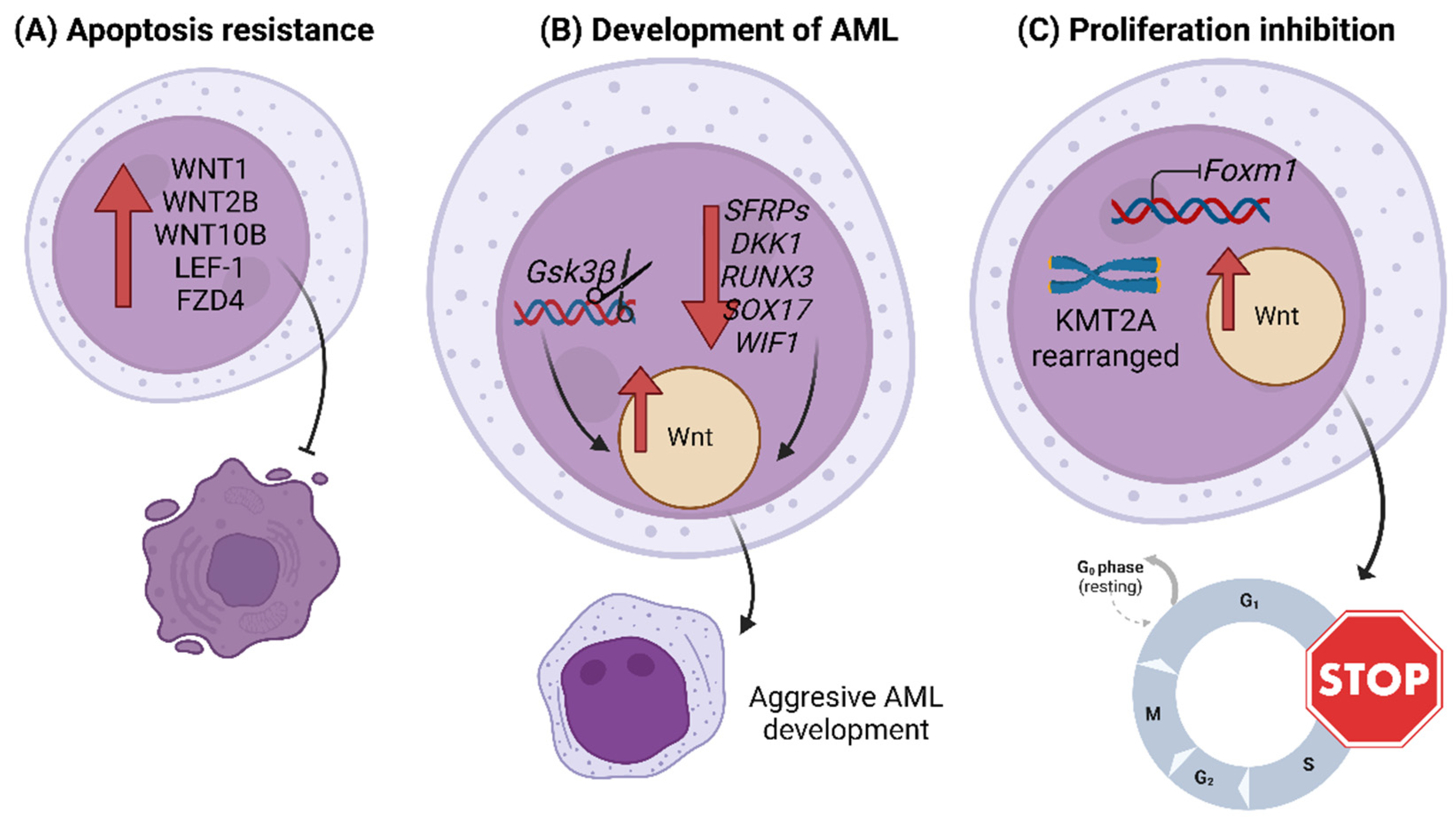 Biology 12 00683 g002