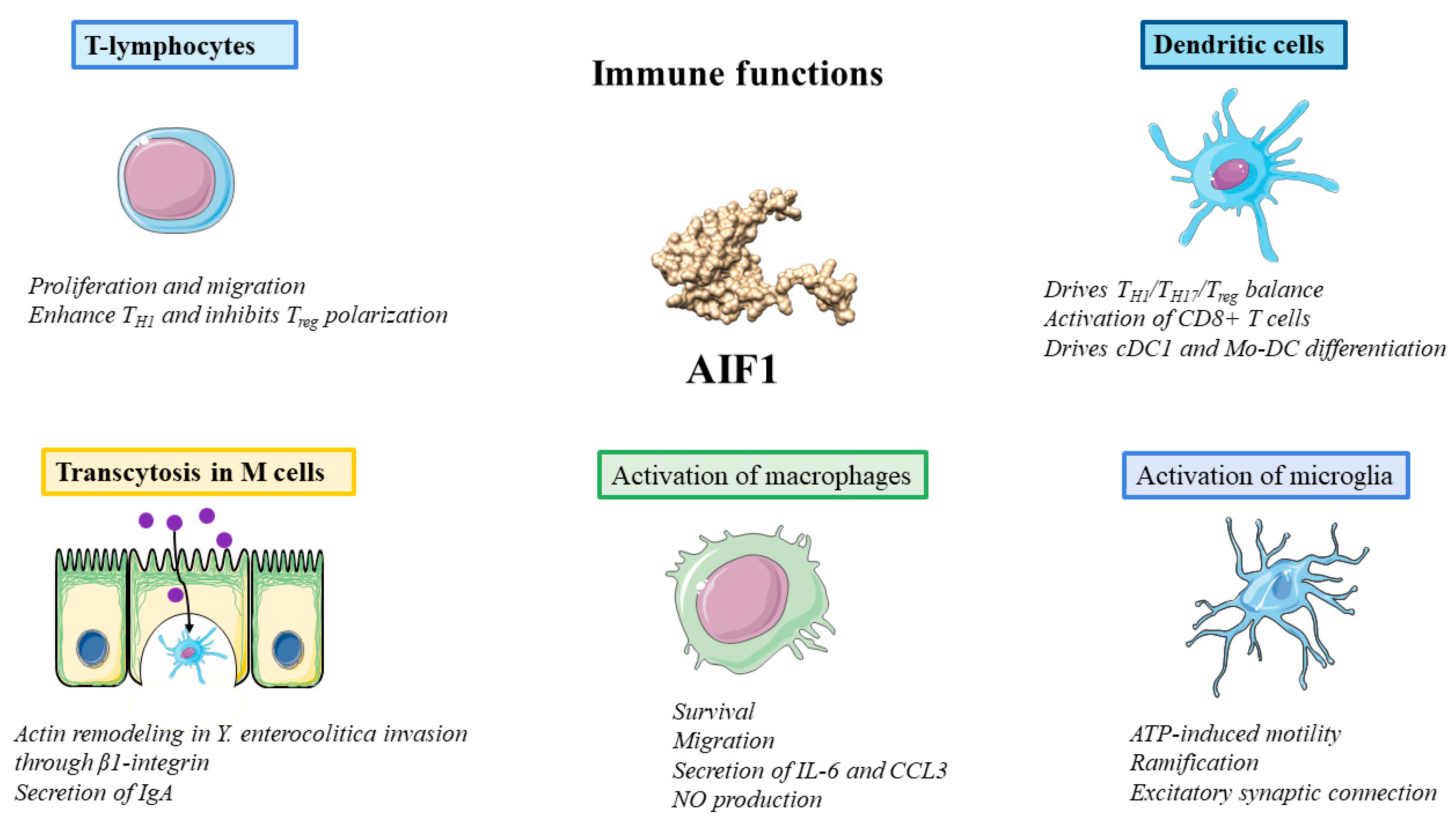 Biology 12 00694 g002