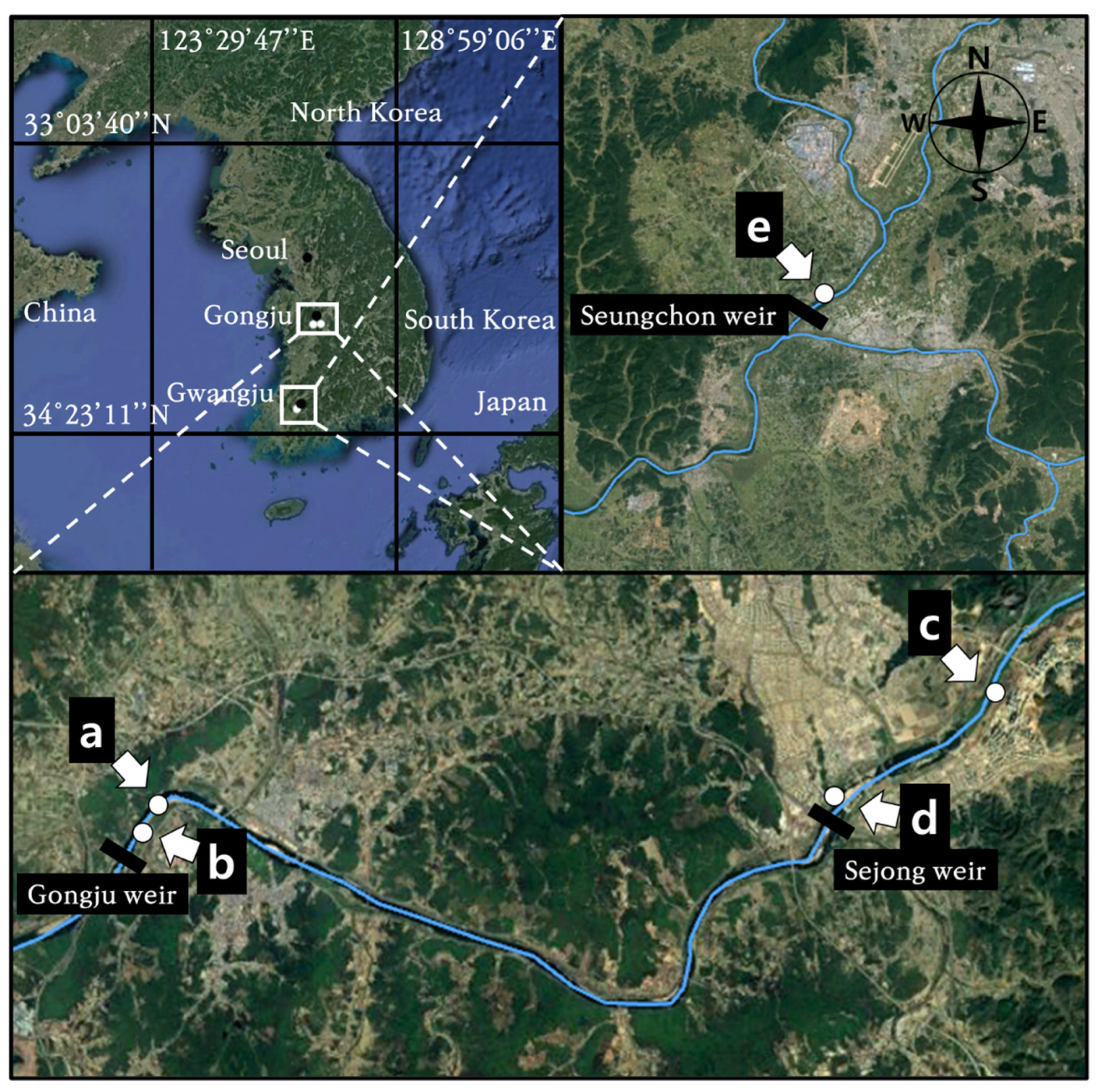 Biology 12 00696 g001