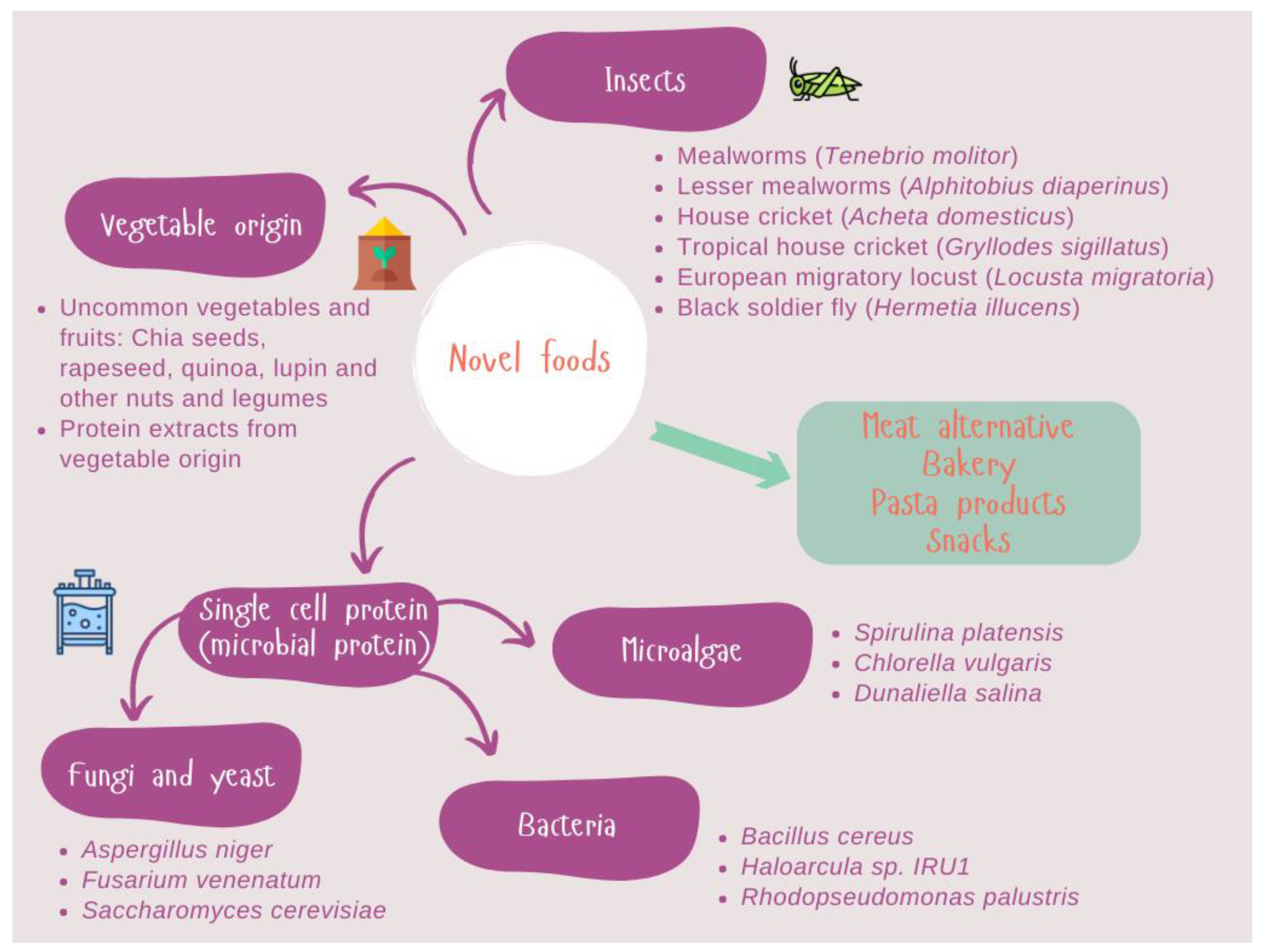 Biology 12 00714 g001