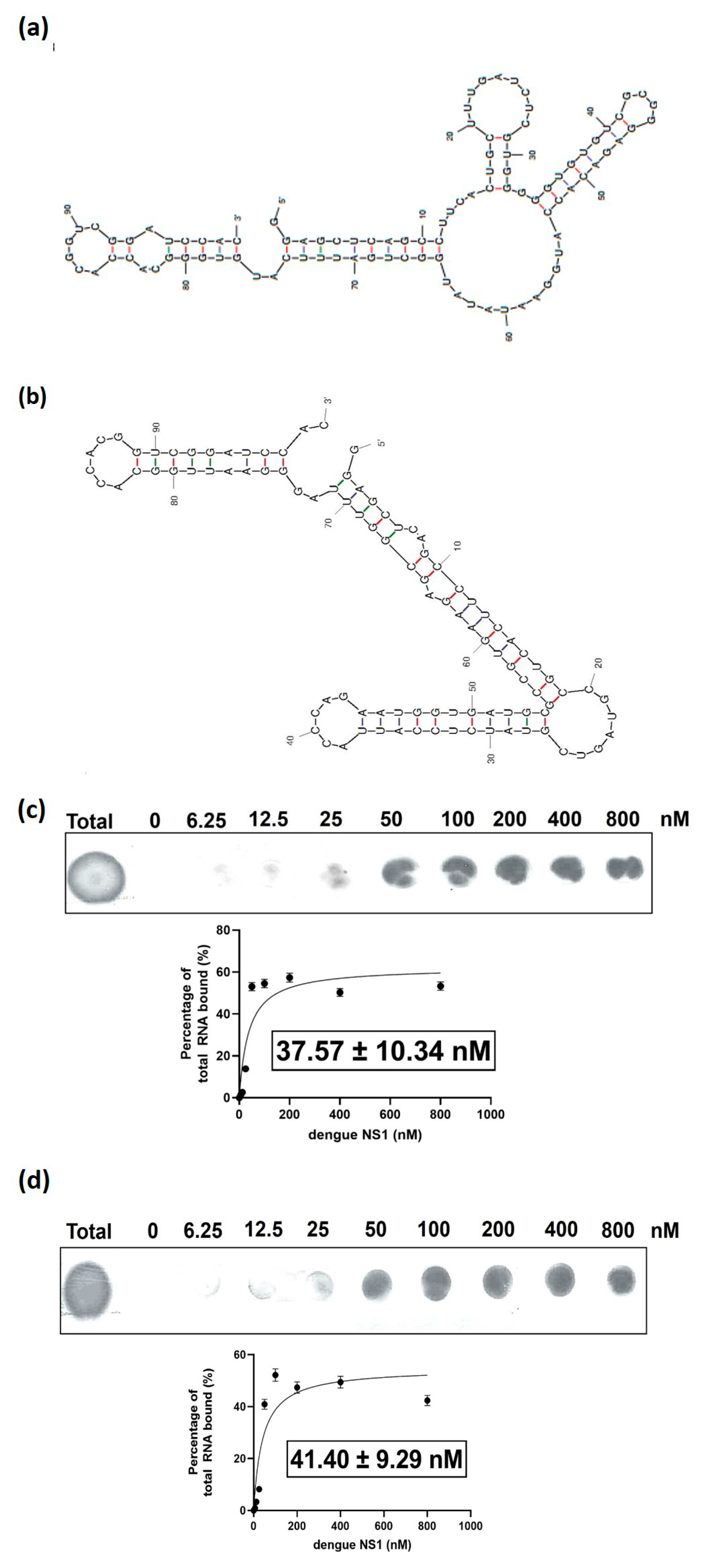 Biology 12 00722 g002 Biology 12 00722 g002