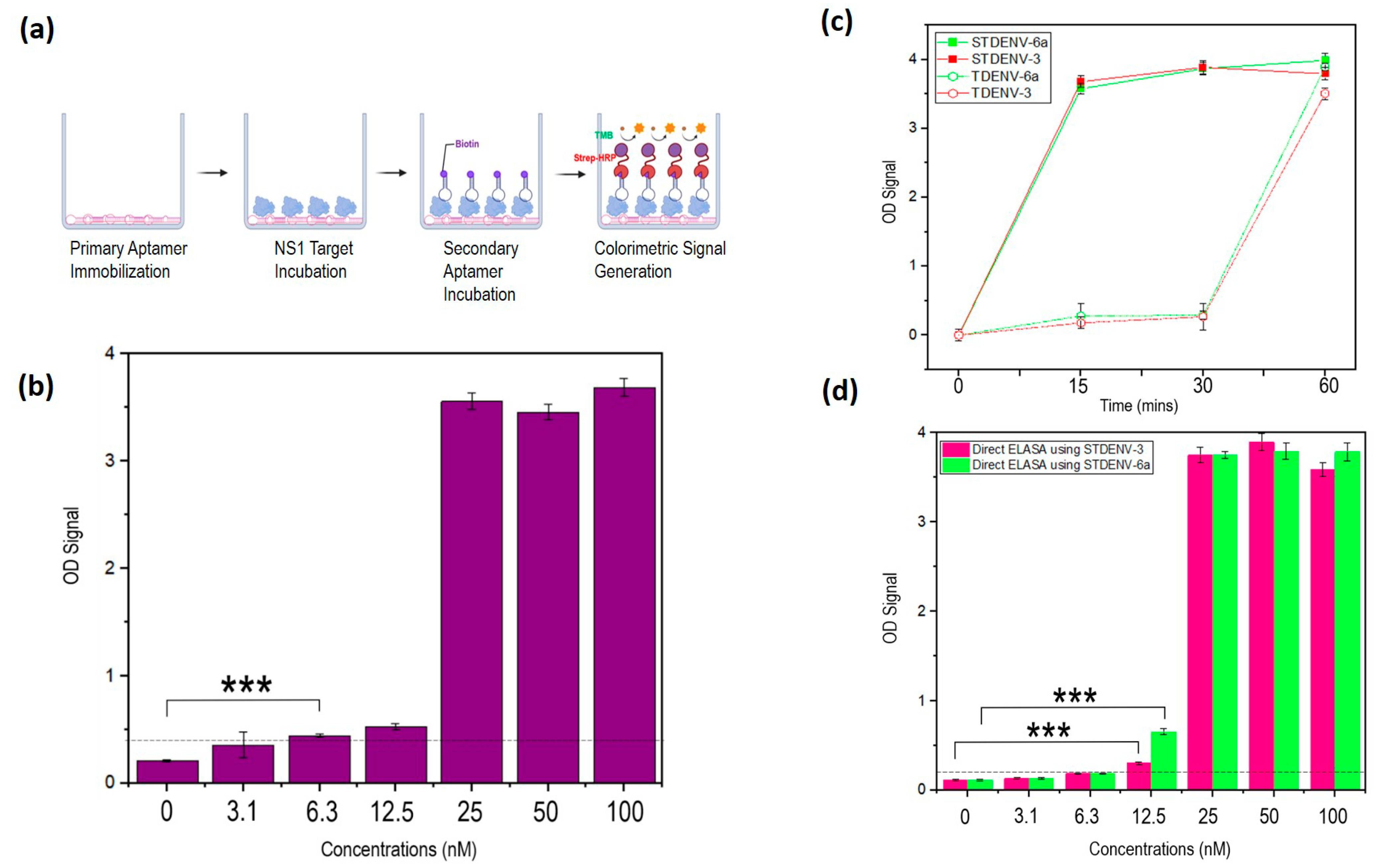 Biology 12 00722 g007 Biology 12 00722 g007