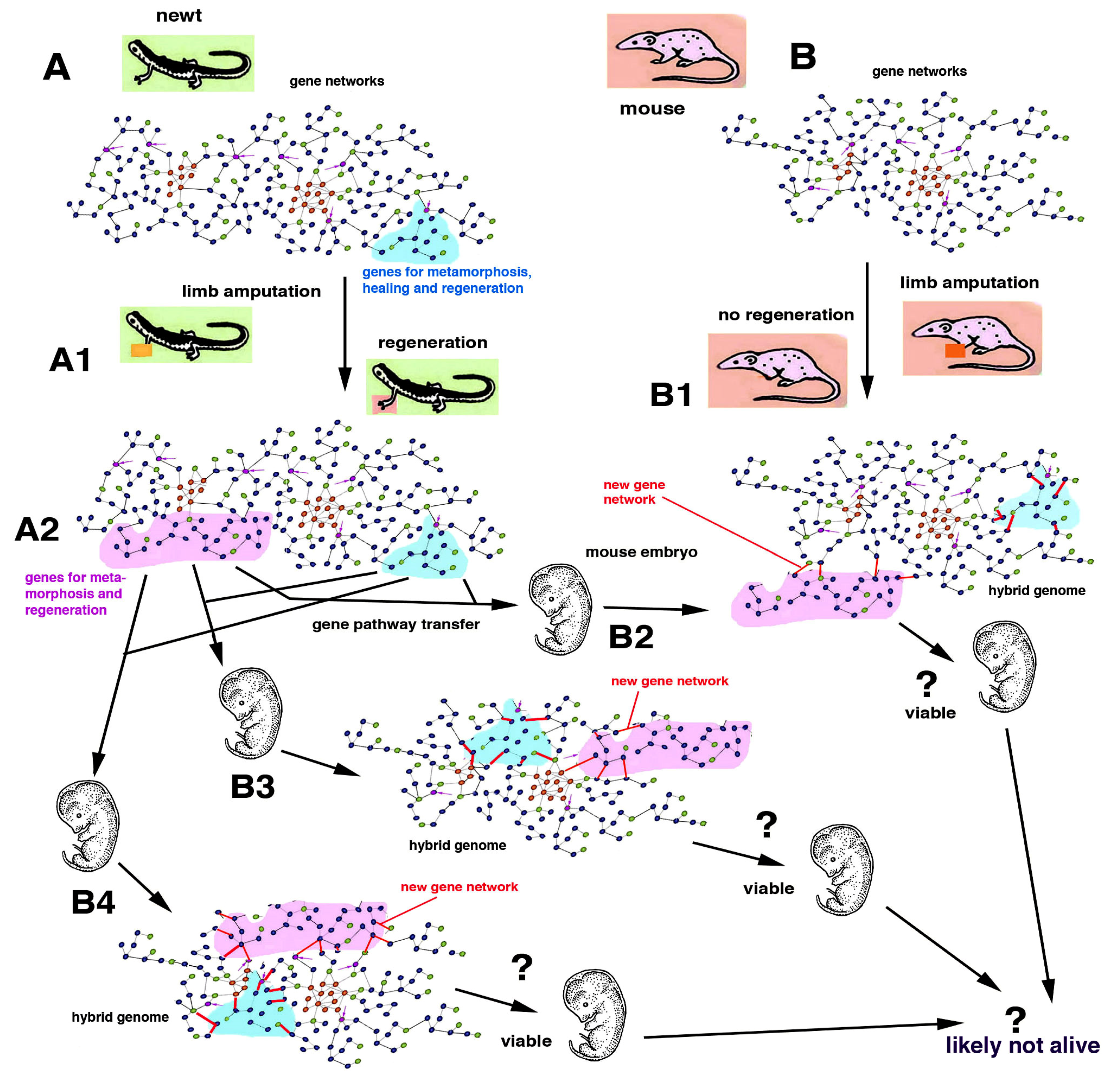 Biology 12 00733 g007