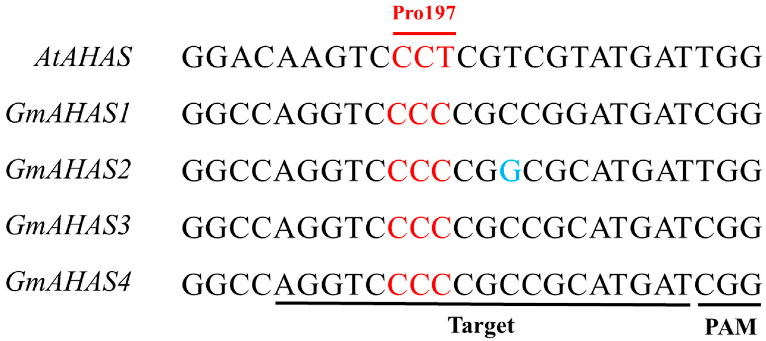 Biology 12 00741 g001