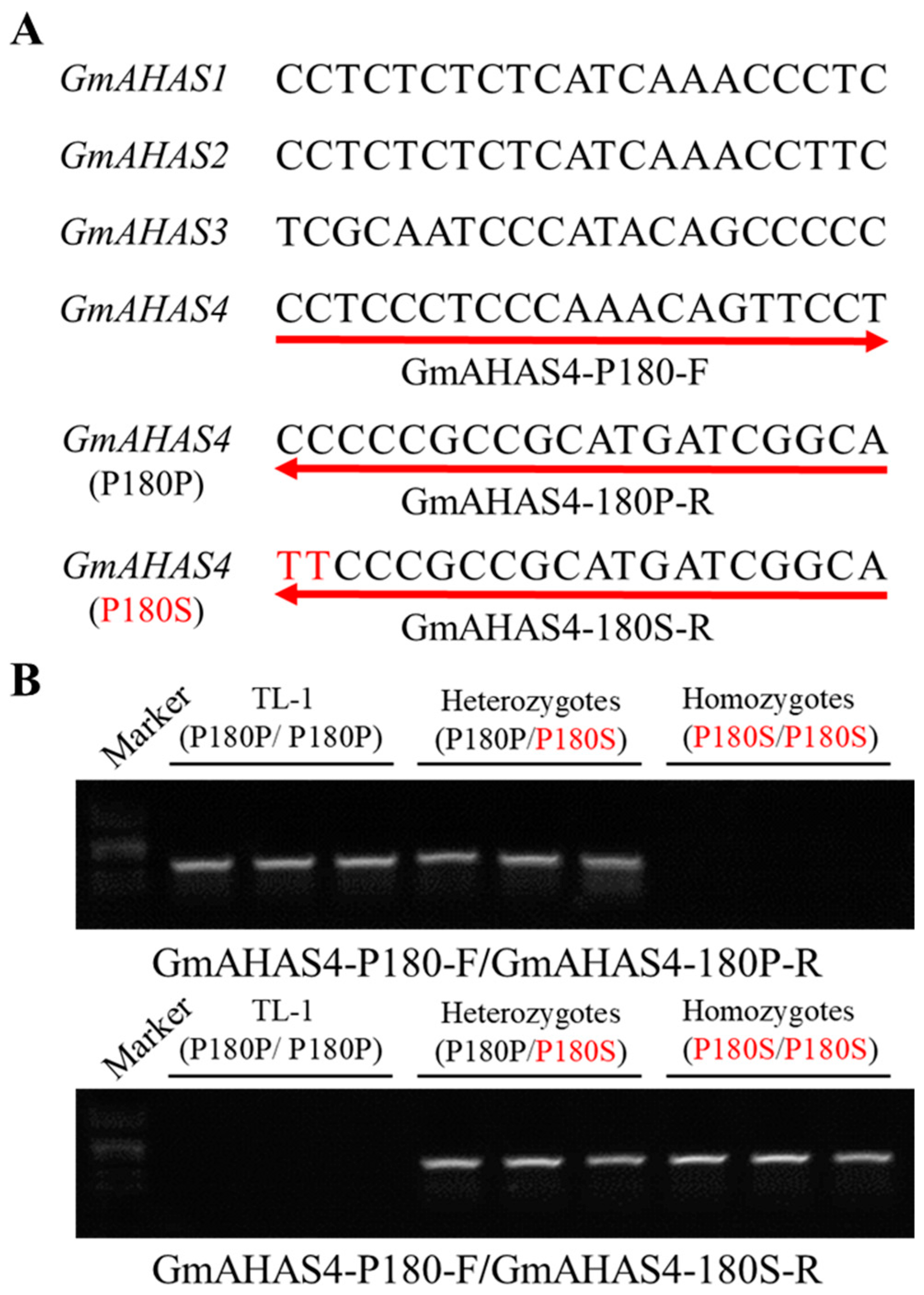 Biology 12 00741 g006