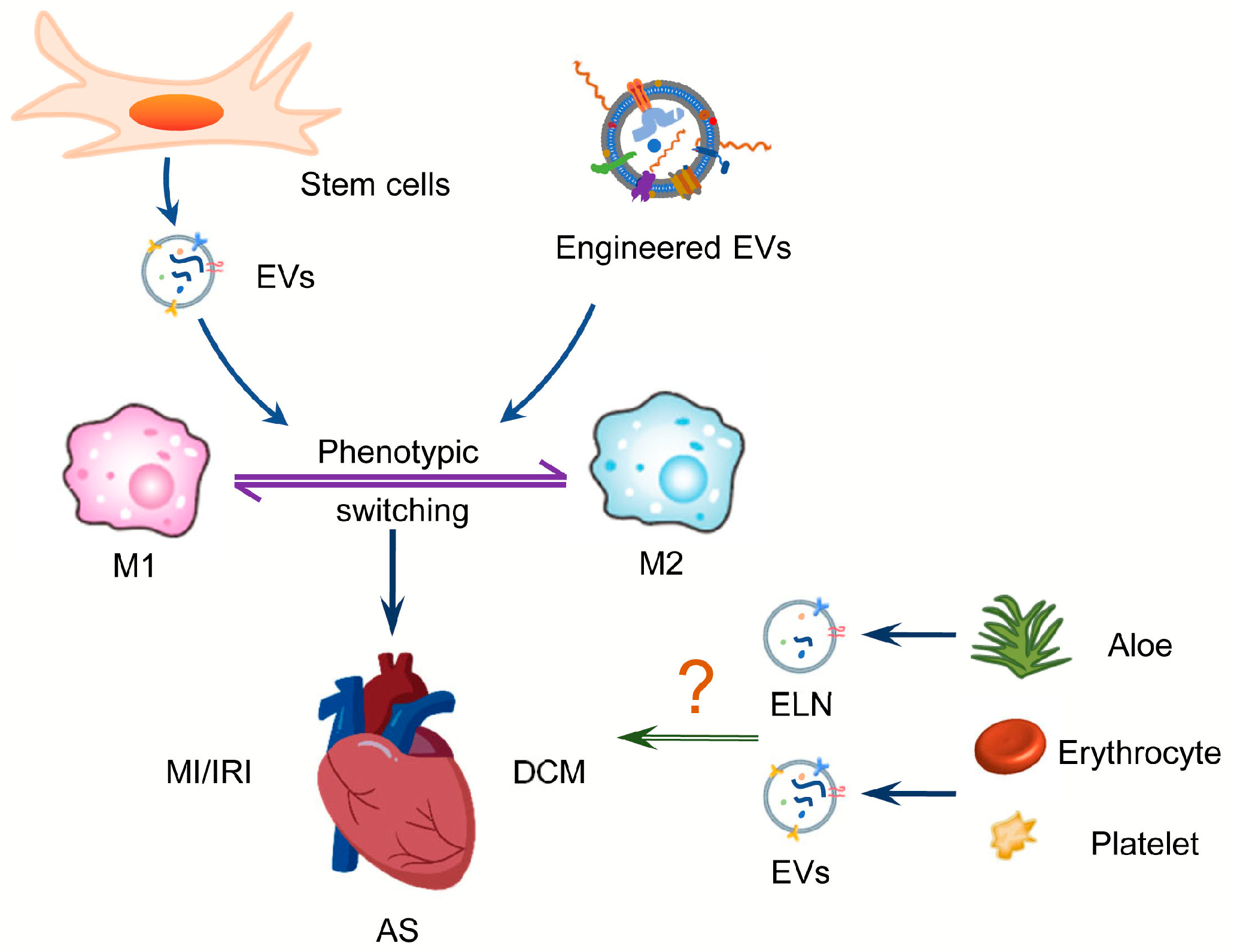 Biology 12 00745 g003