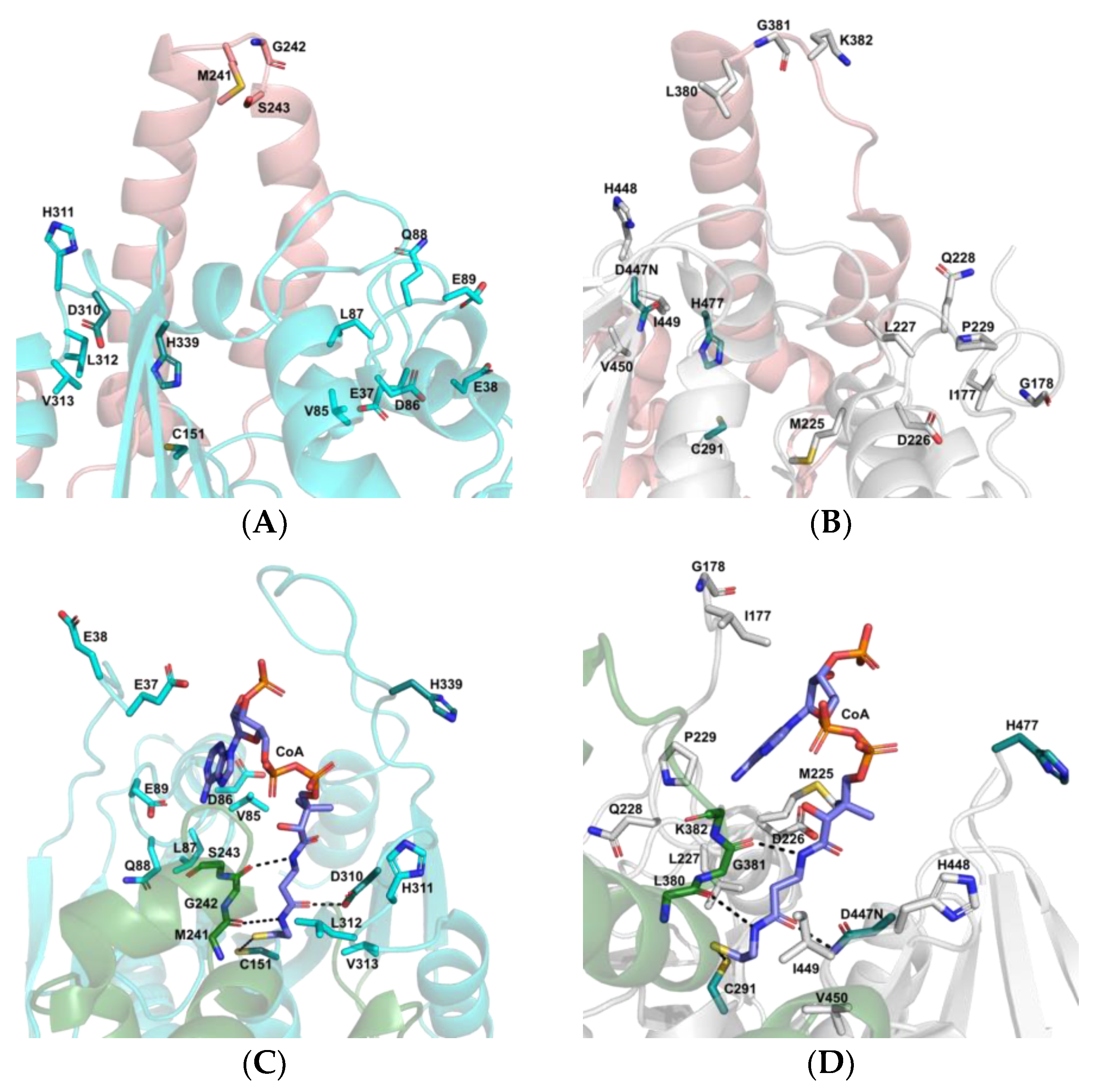 Biology 12 00751 g007