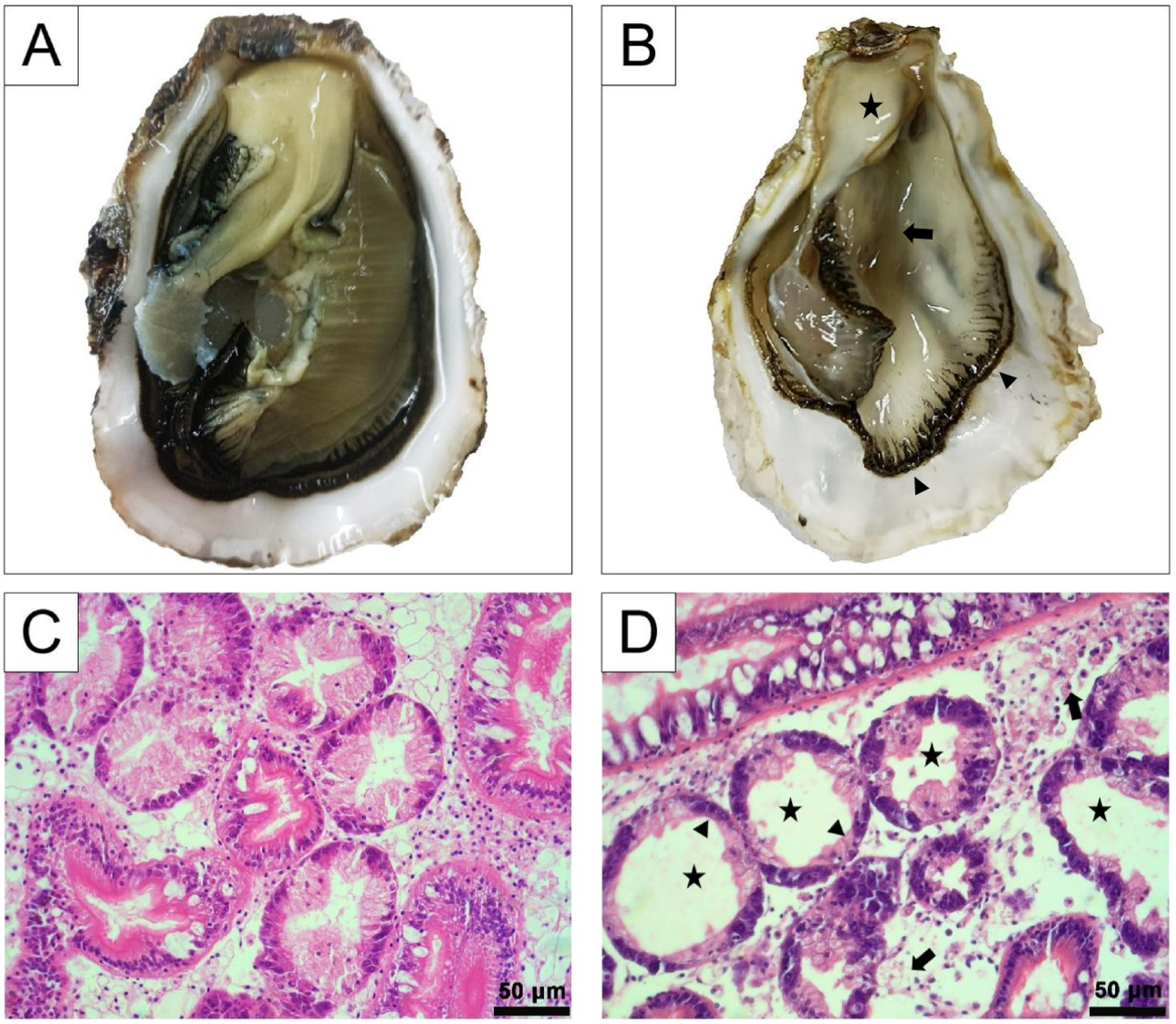 Biology 12 00759 g002