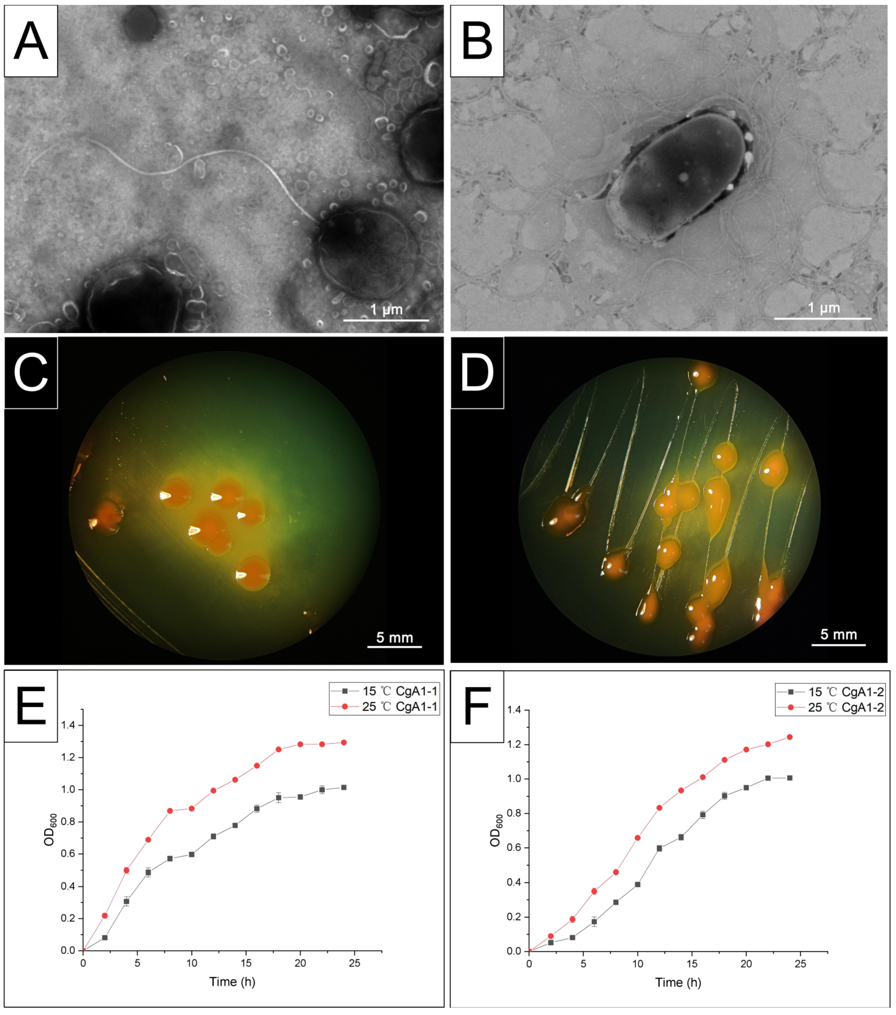 Biology 12 00759 g004