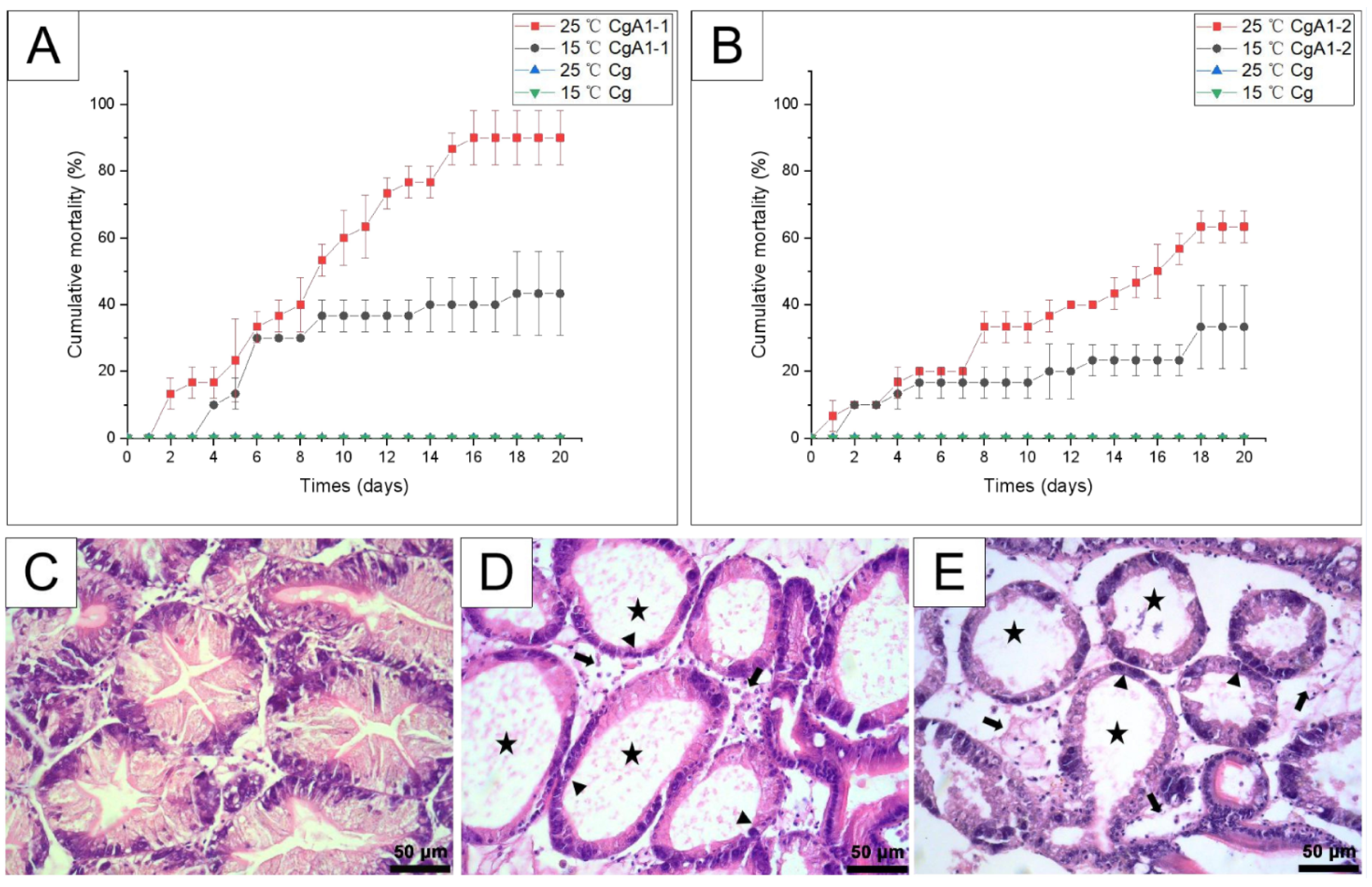 Biology 12 00759 g006