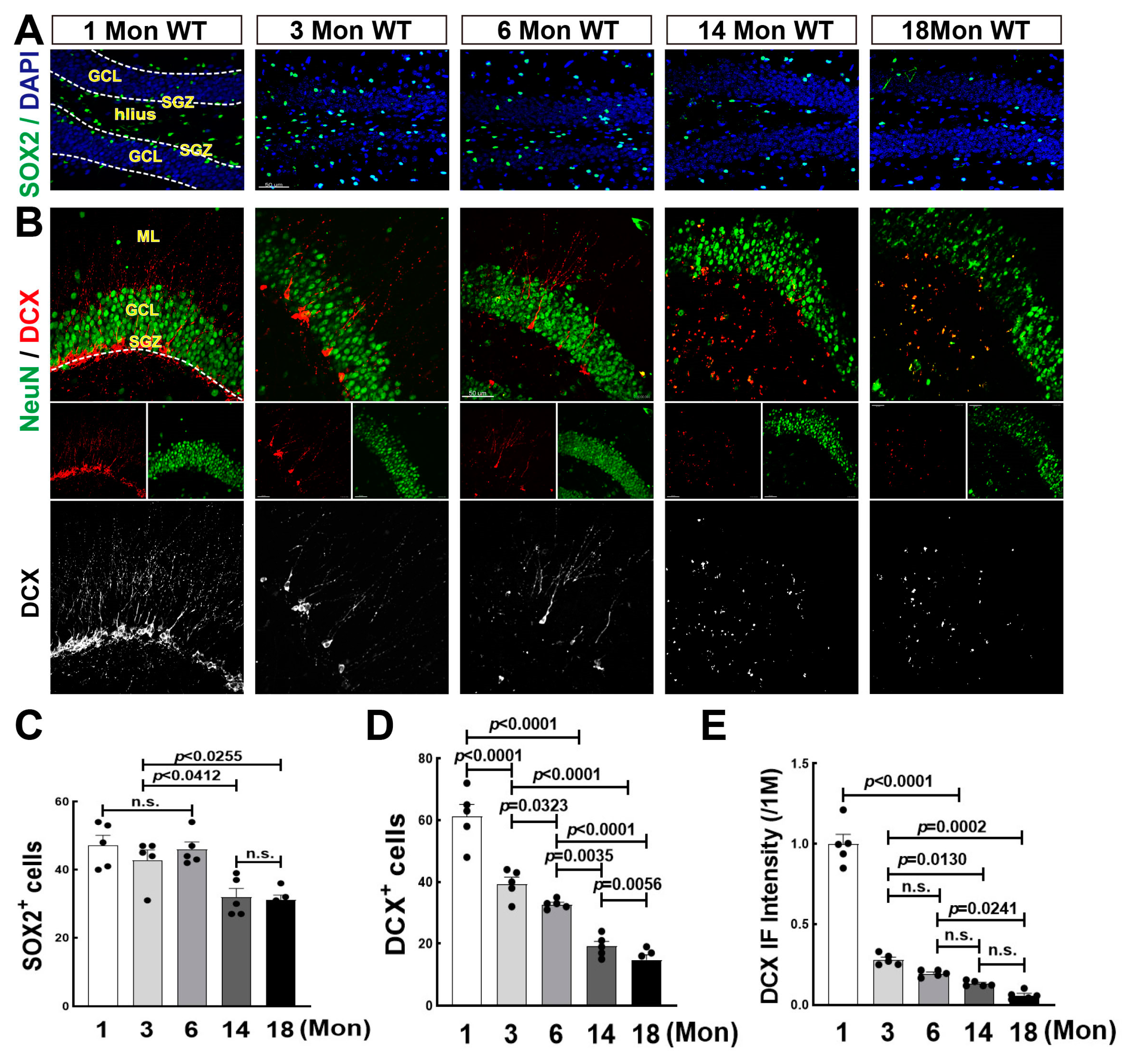 Biology 12 00760 g001 Biology 12 00760 g001