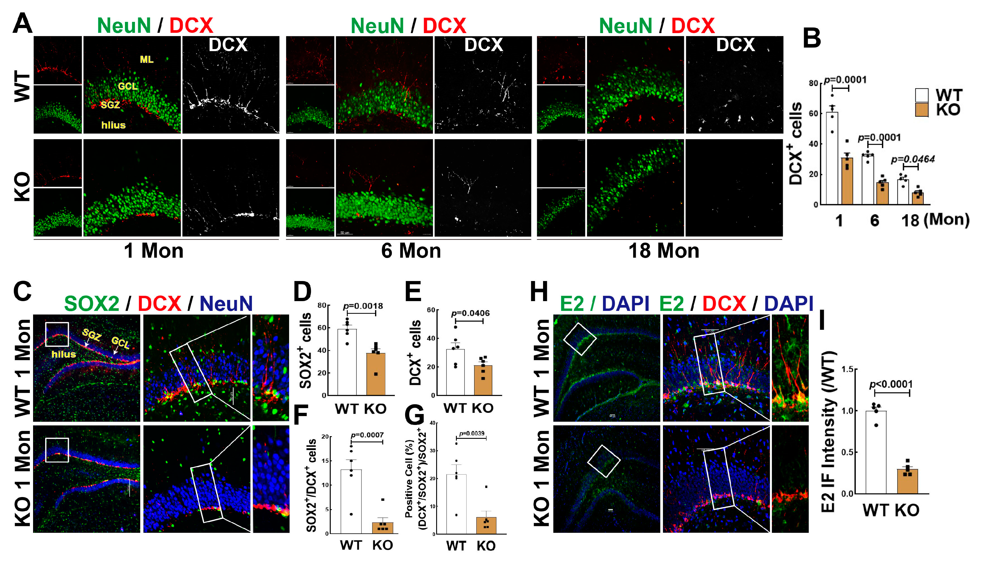 Biology 12 00760 g002 Biology 12 00760 g002