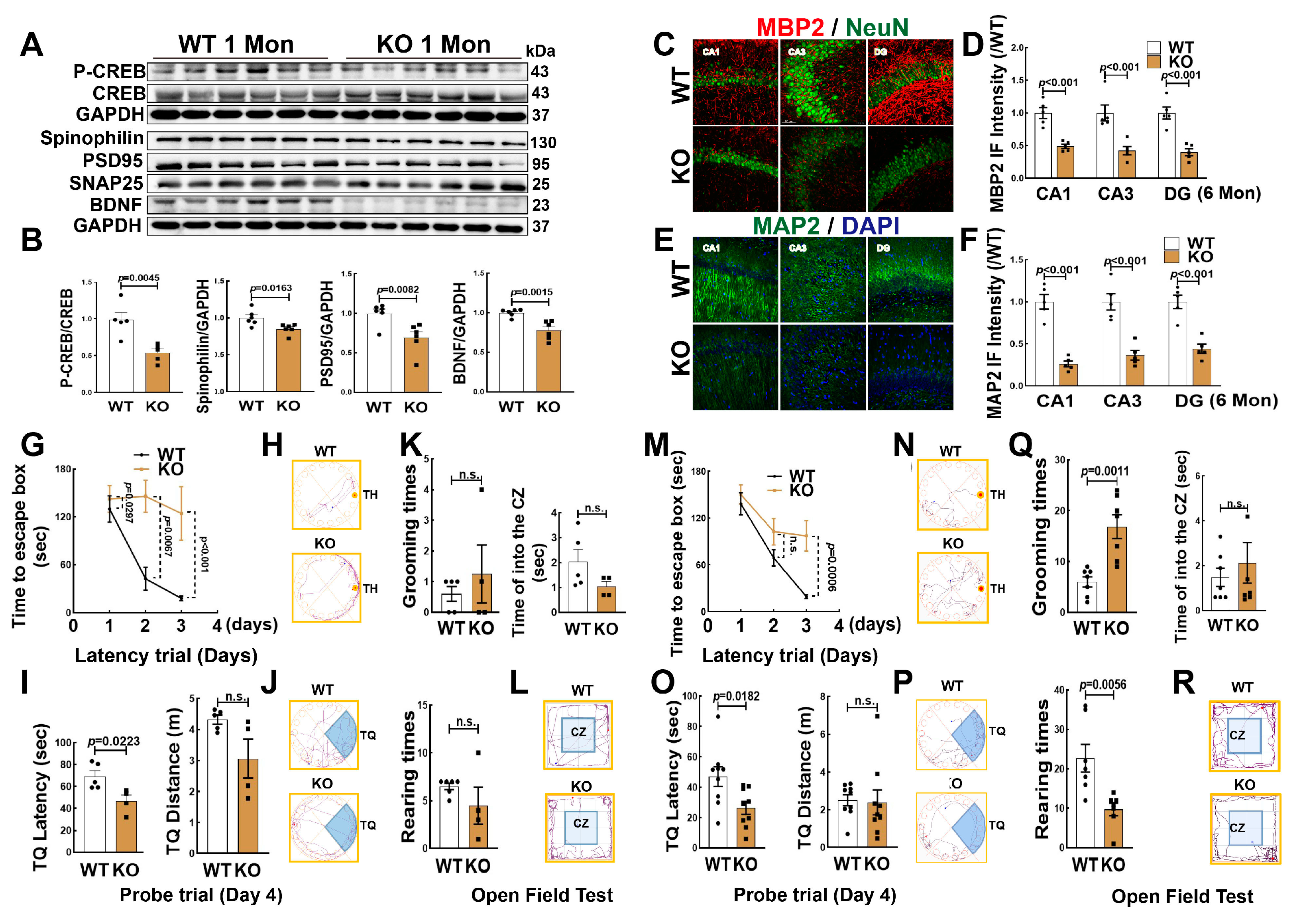 Biology 12 00760 g003 Biology 12 00760 g003