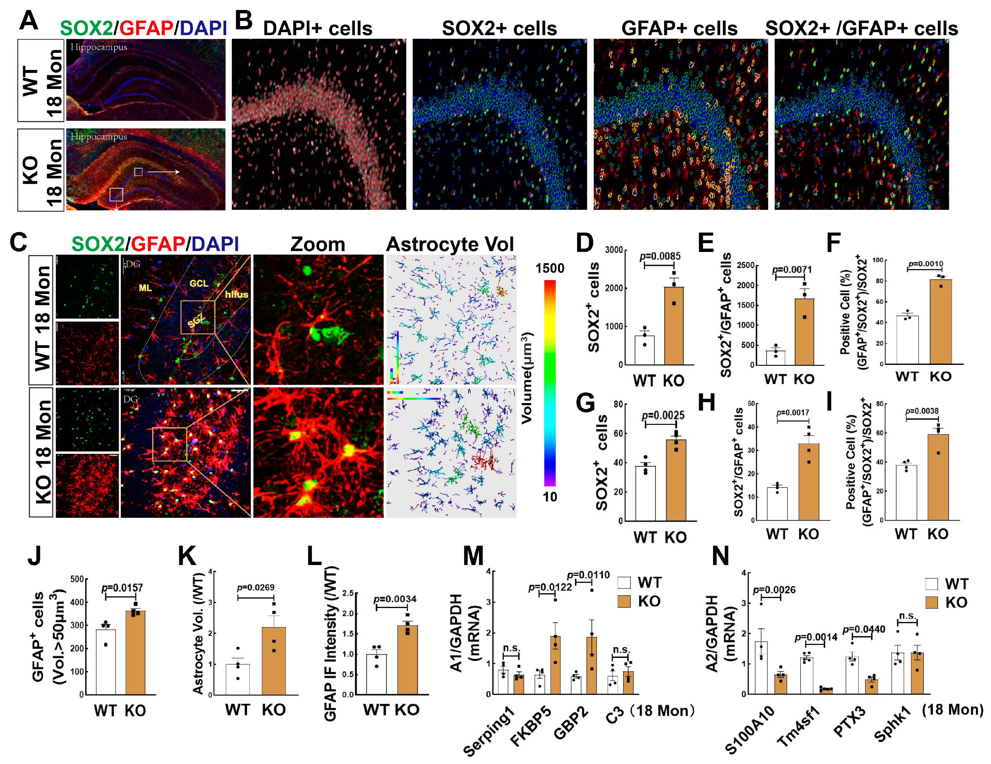 Biology 12 00760 g006 Biology 12 00760 g006