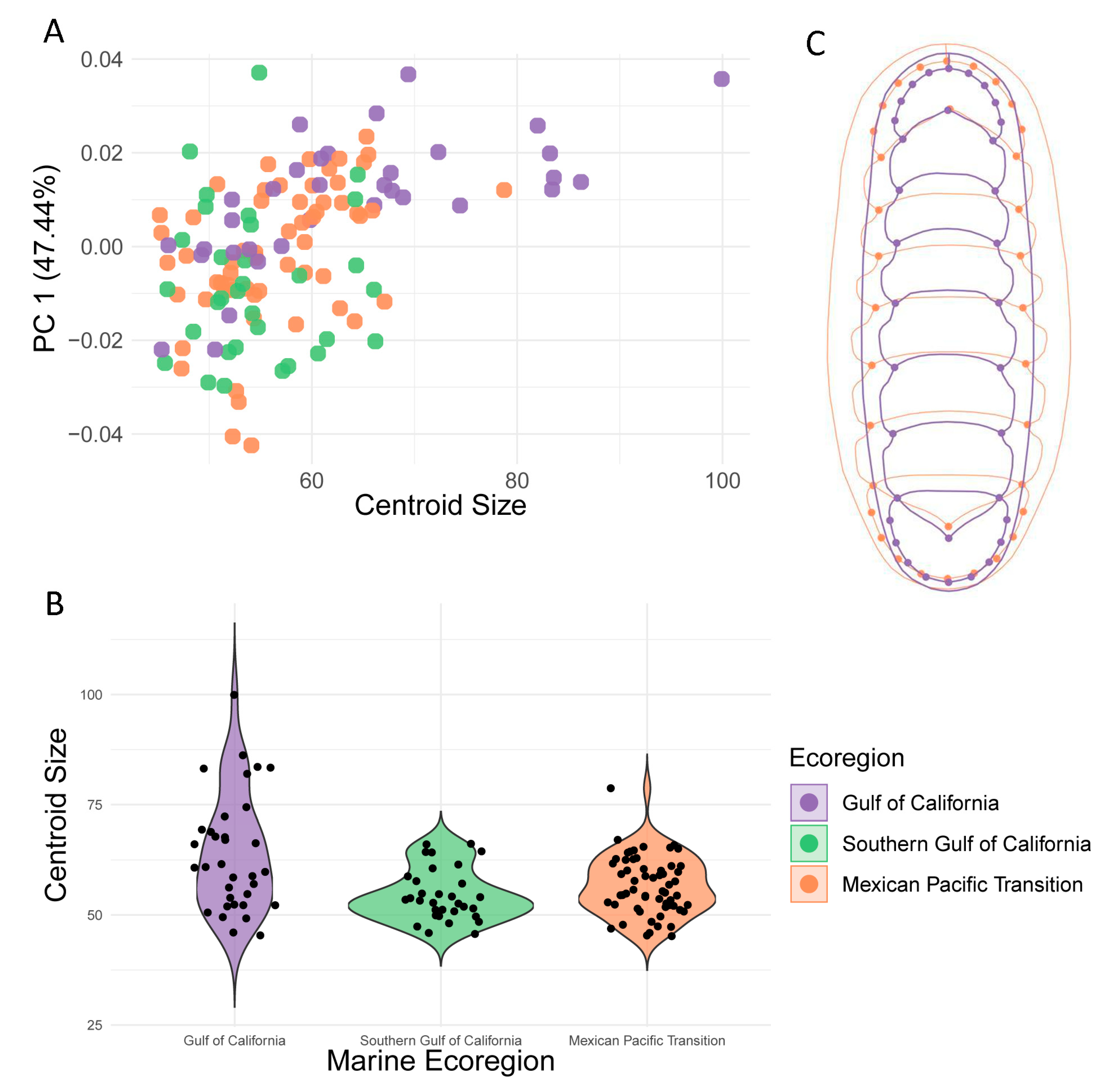 Biology 12 00766 g003