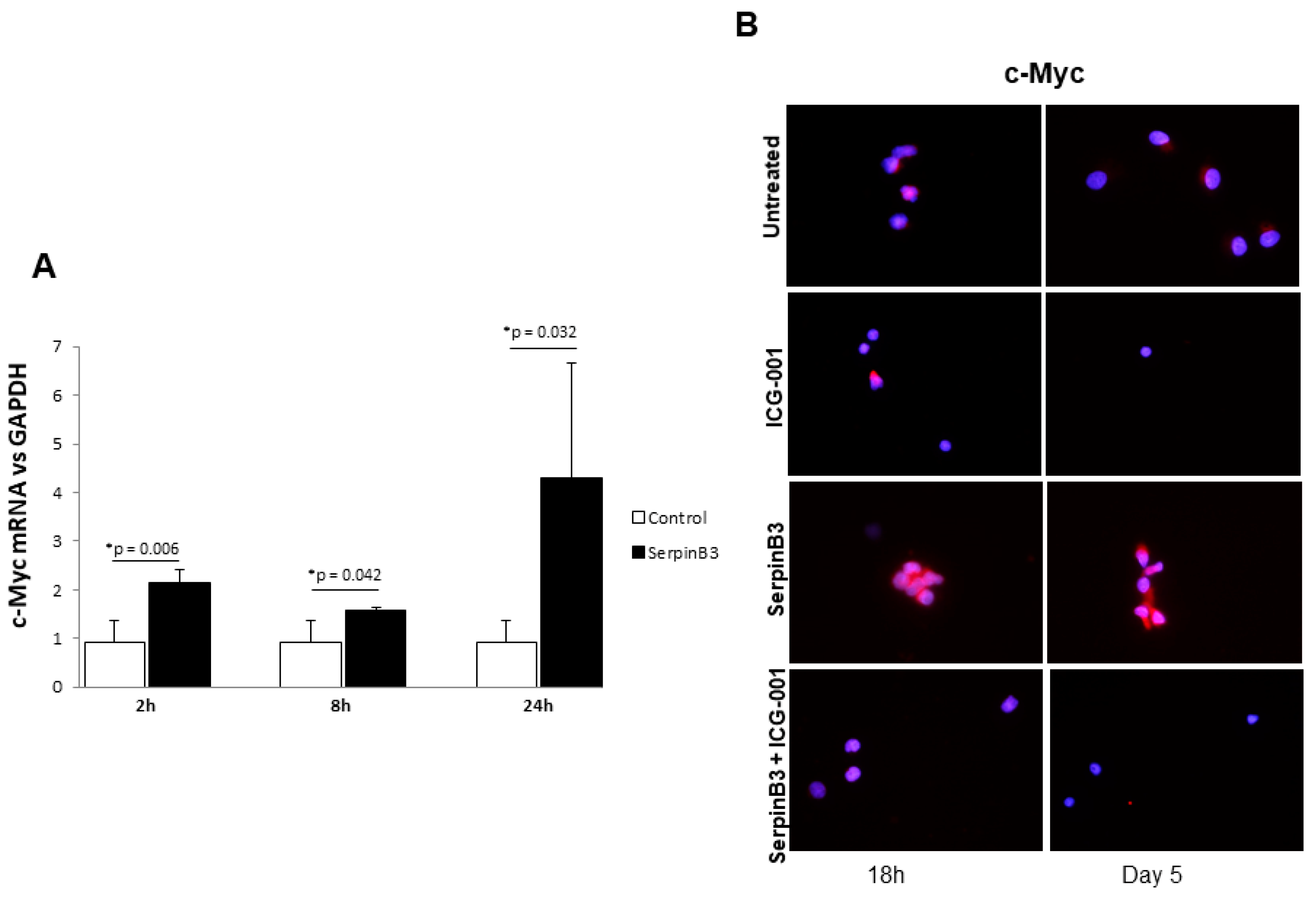 Biology 12 00771 g004