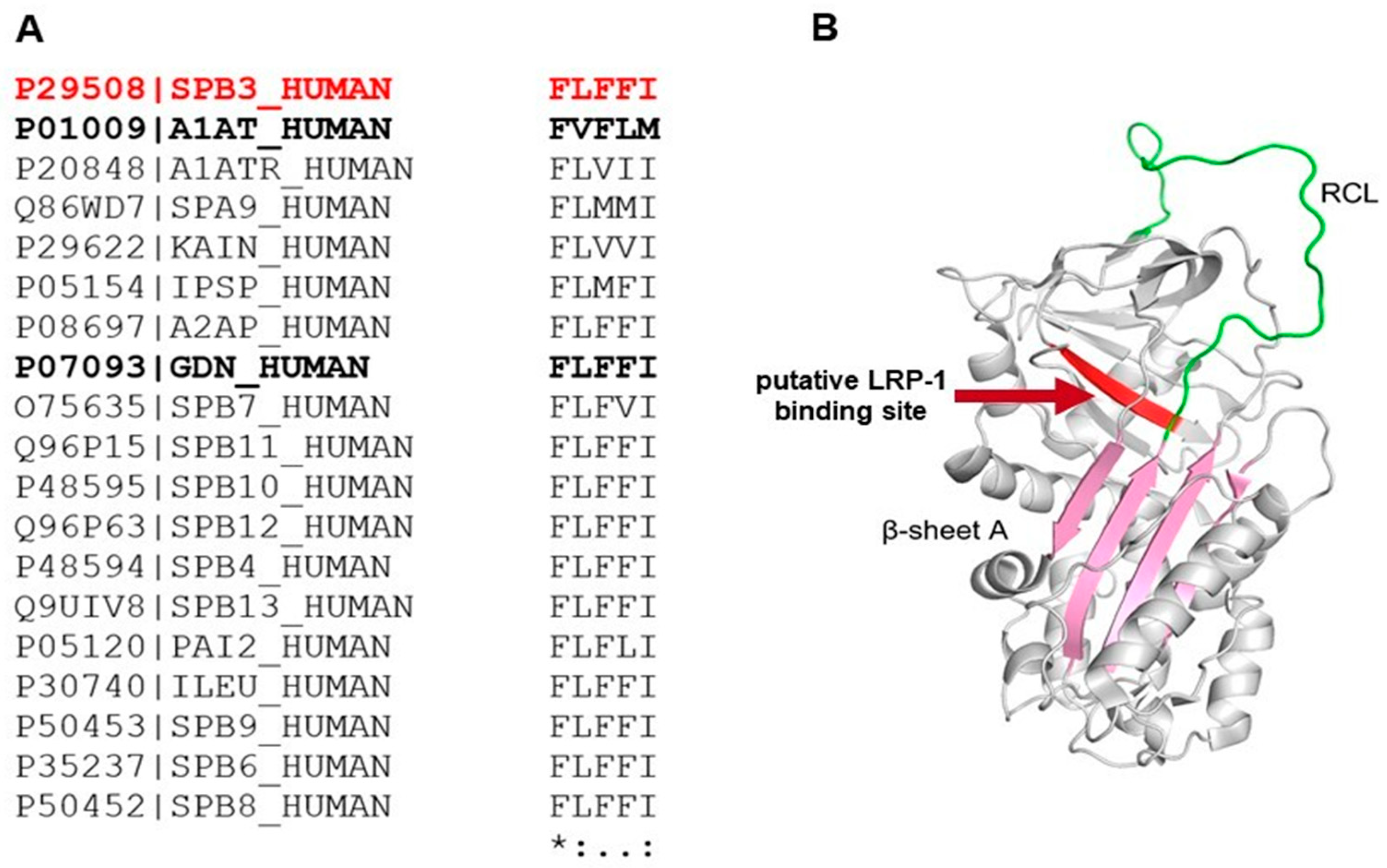 Biology 12 00771 g008